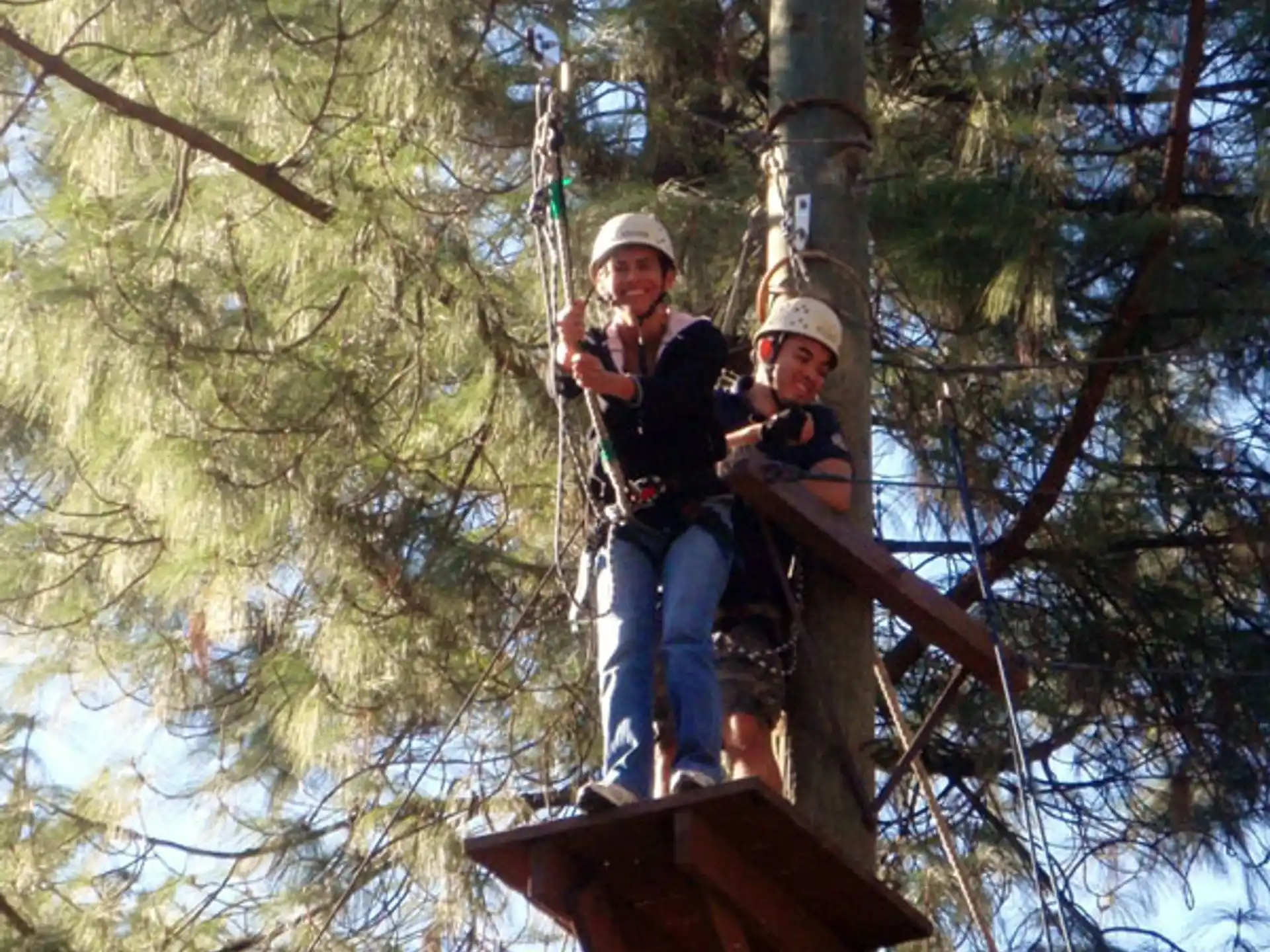 a man and a child on a tree branch