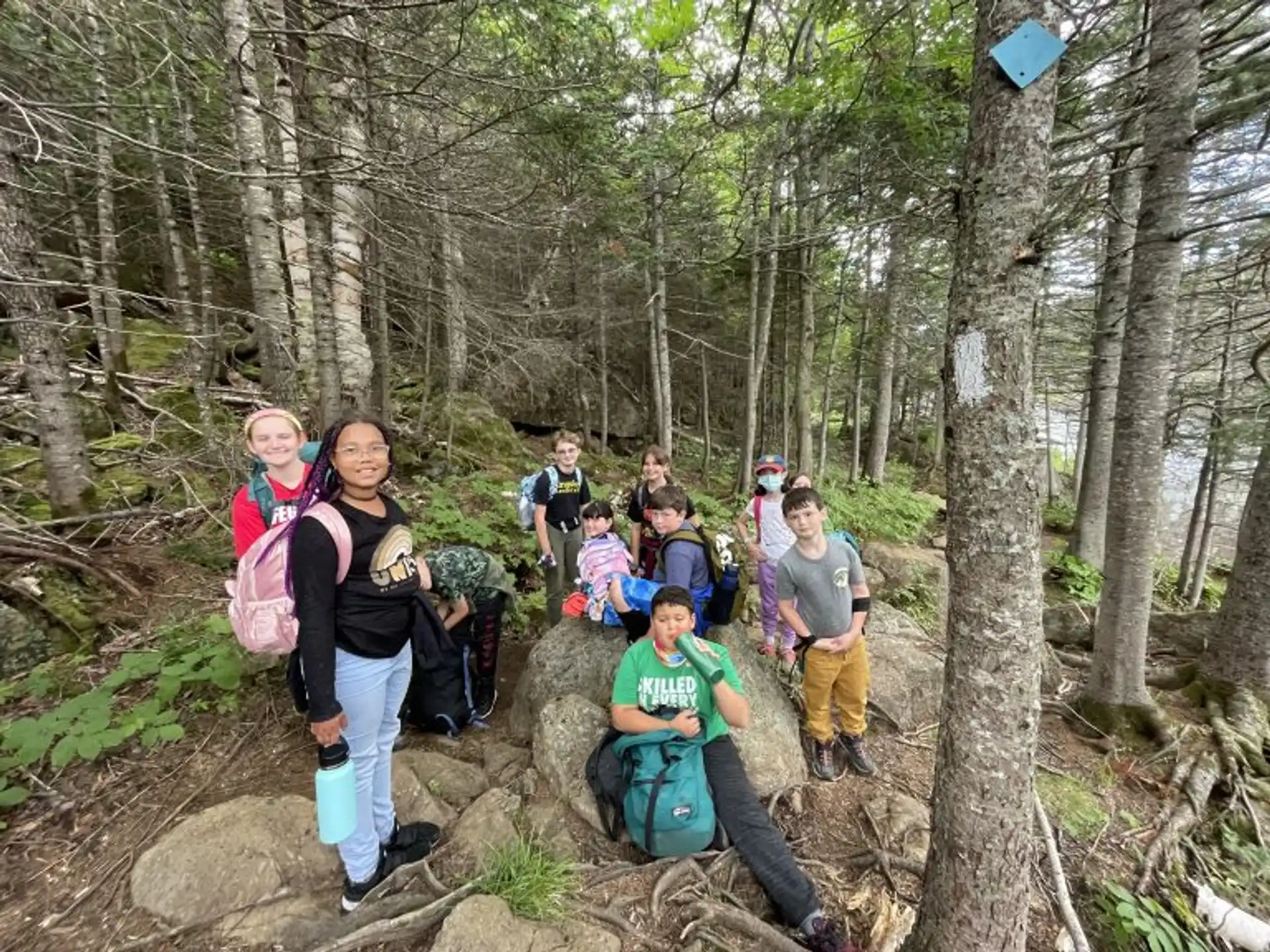 a group of people hiking in the woods