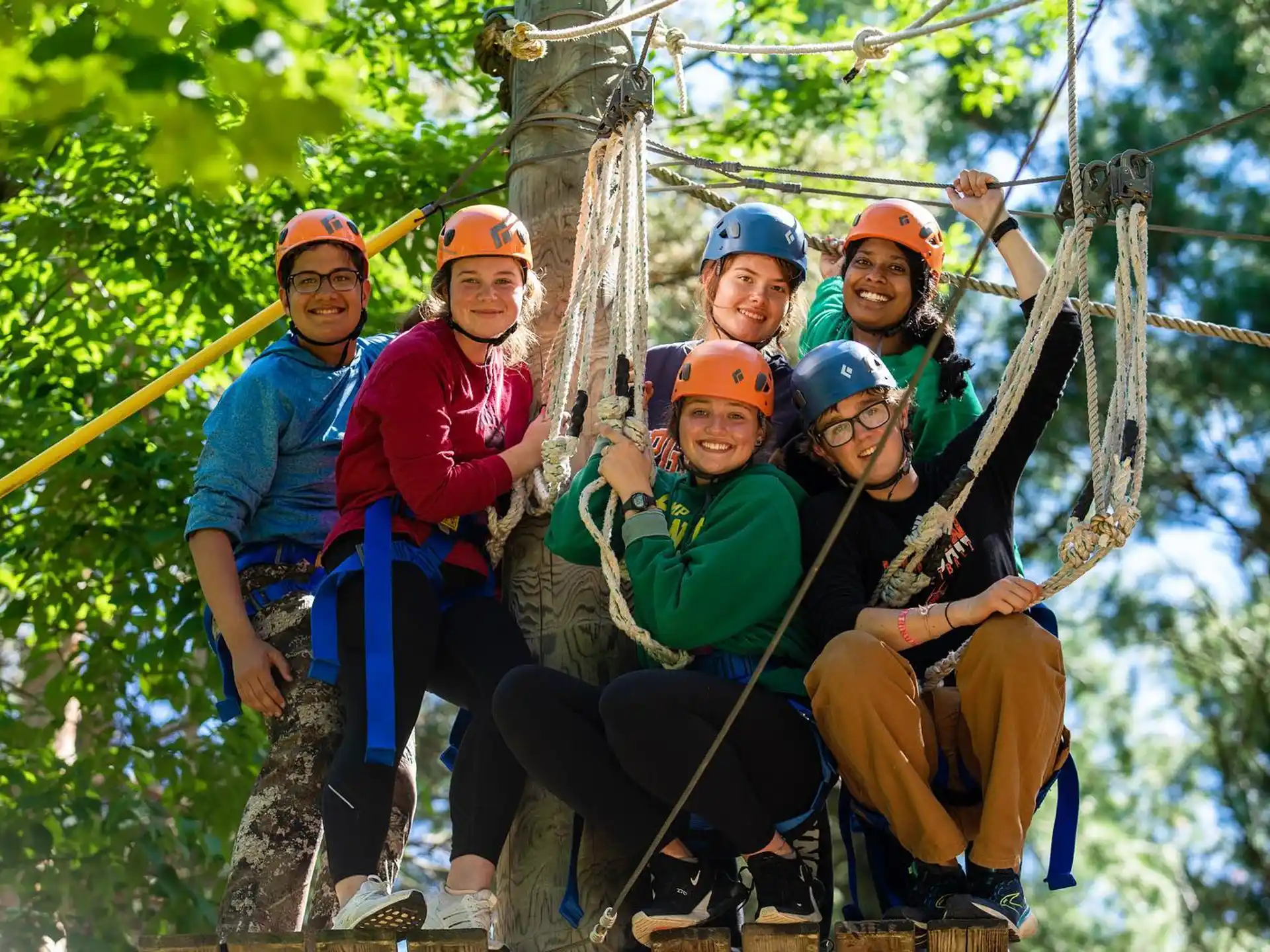 a group of people wearing helmets and harnesses on a tree