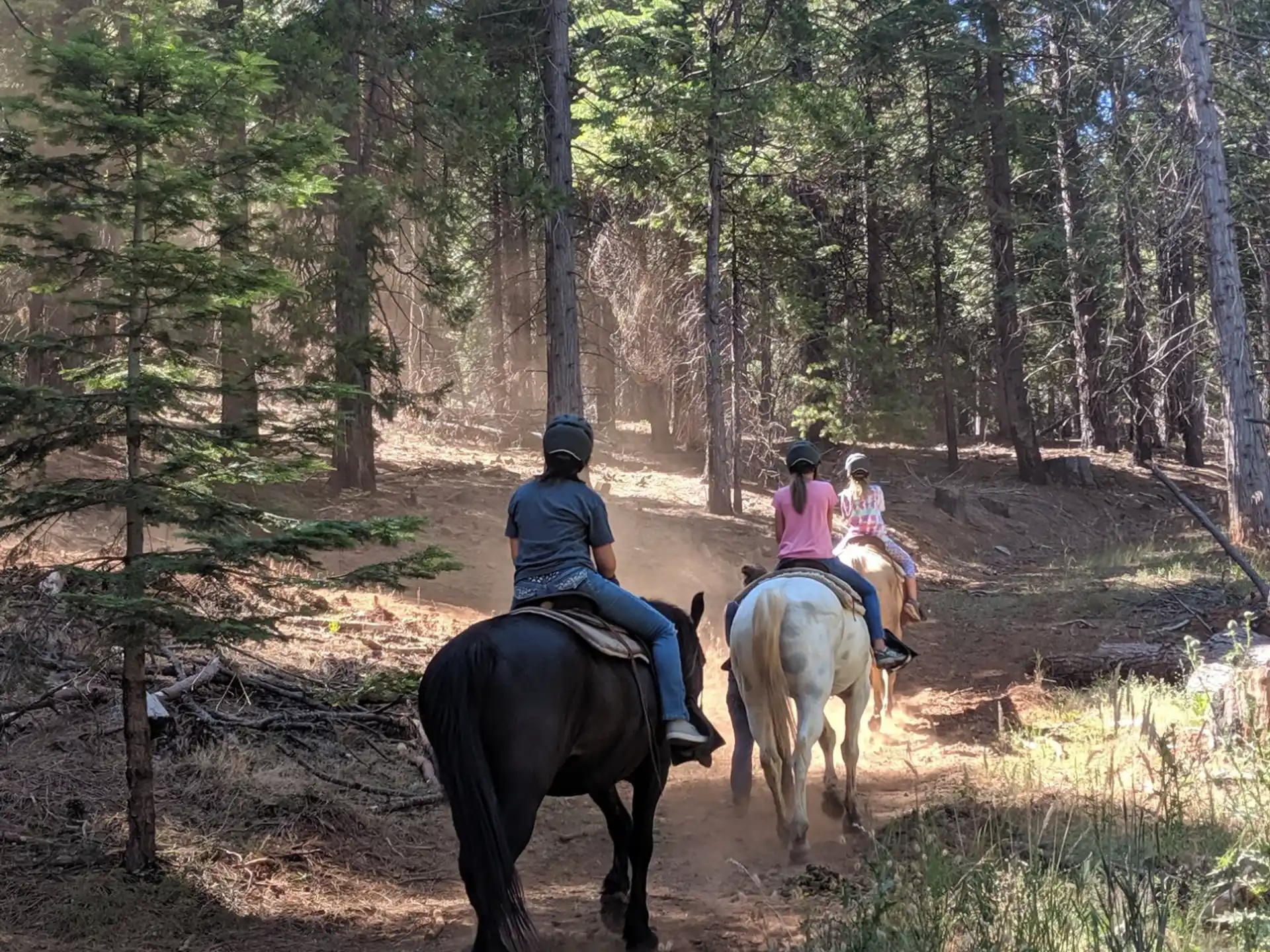 people riding horses on a trail