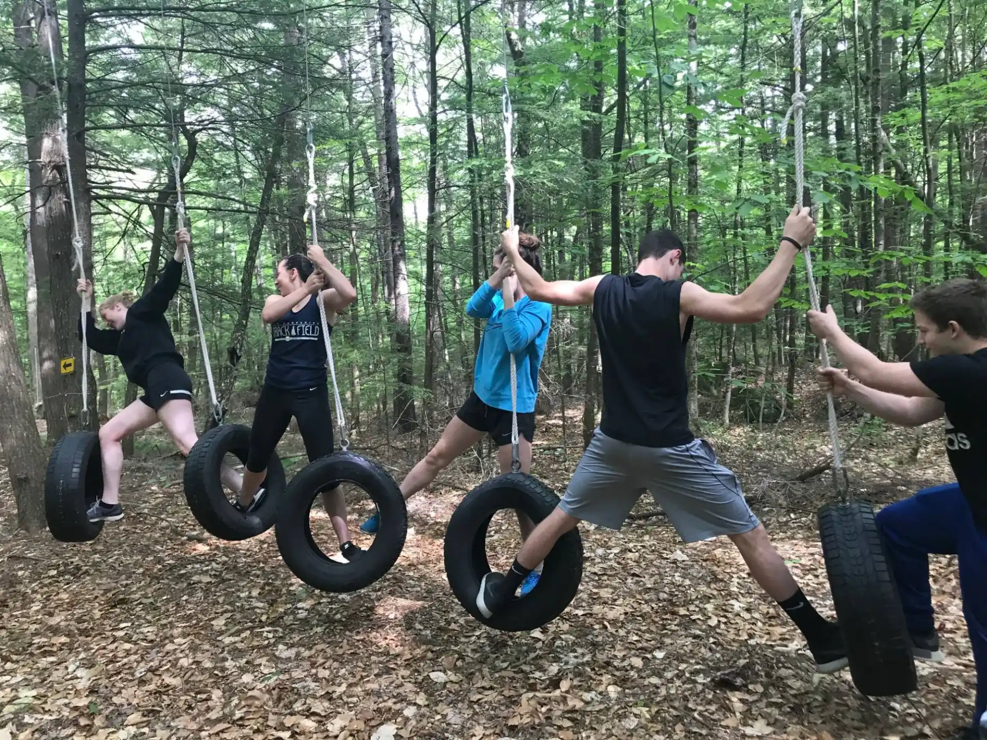 a group of people on exercise equipment