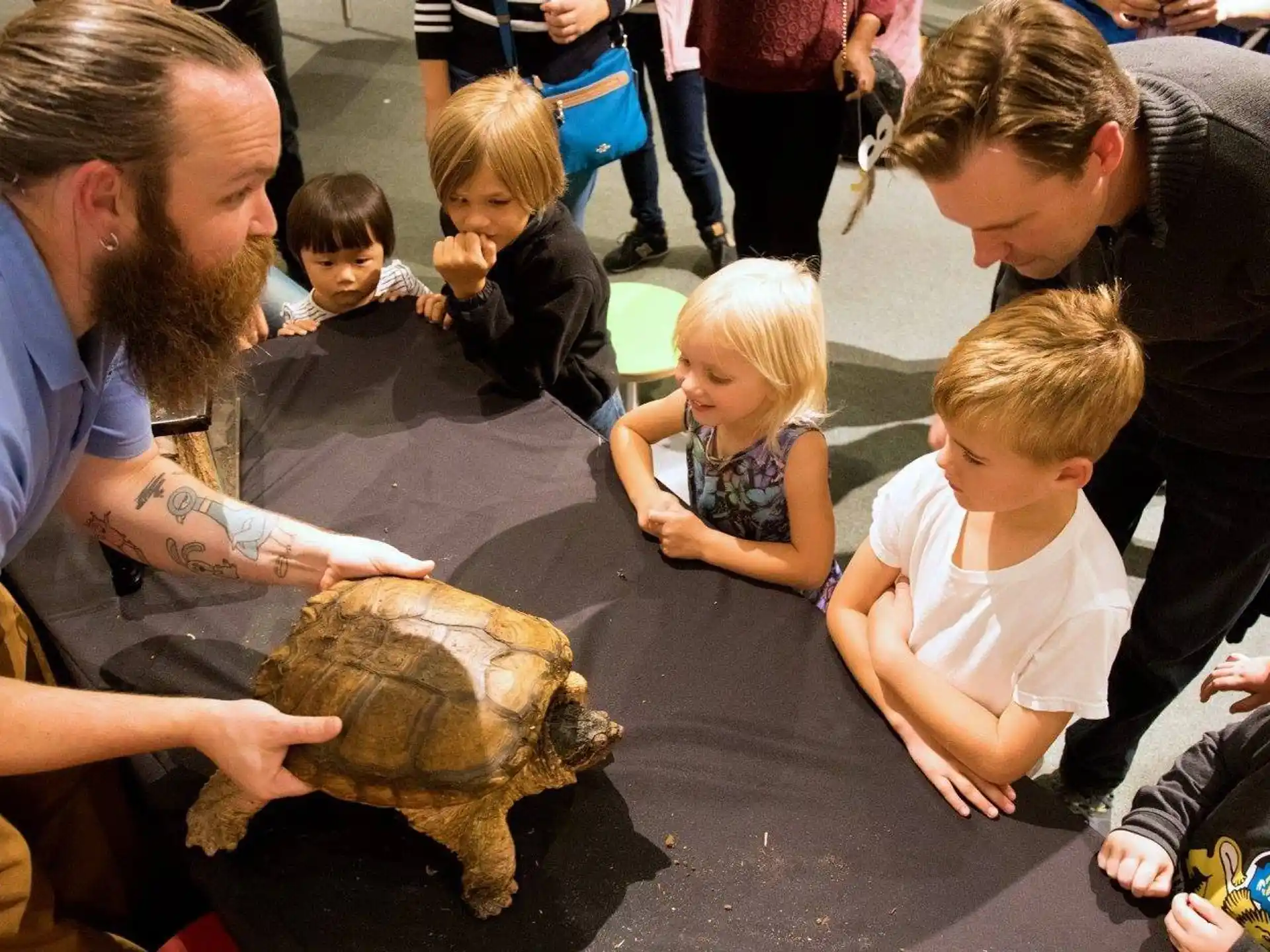 a person and children looking at a turtle on a table