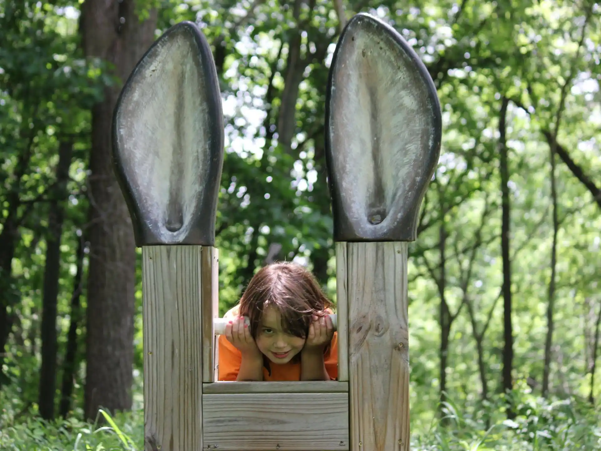 a person looking through a hole in a tree