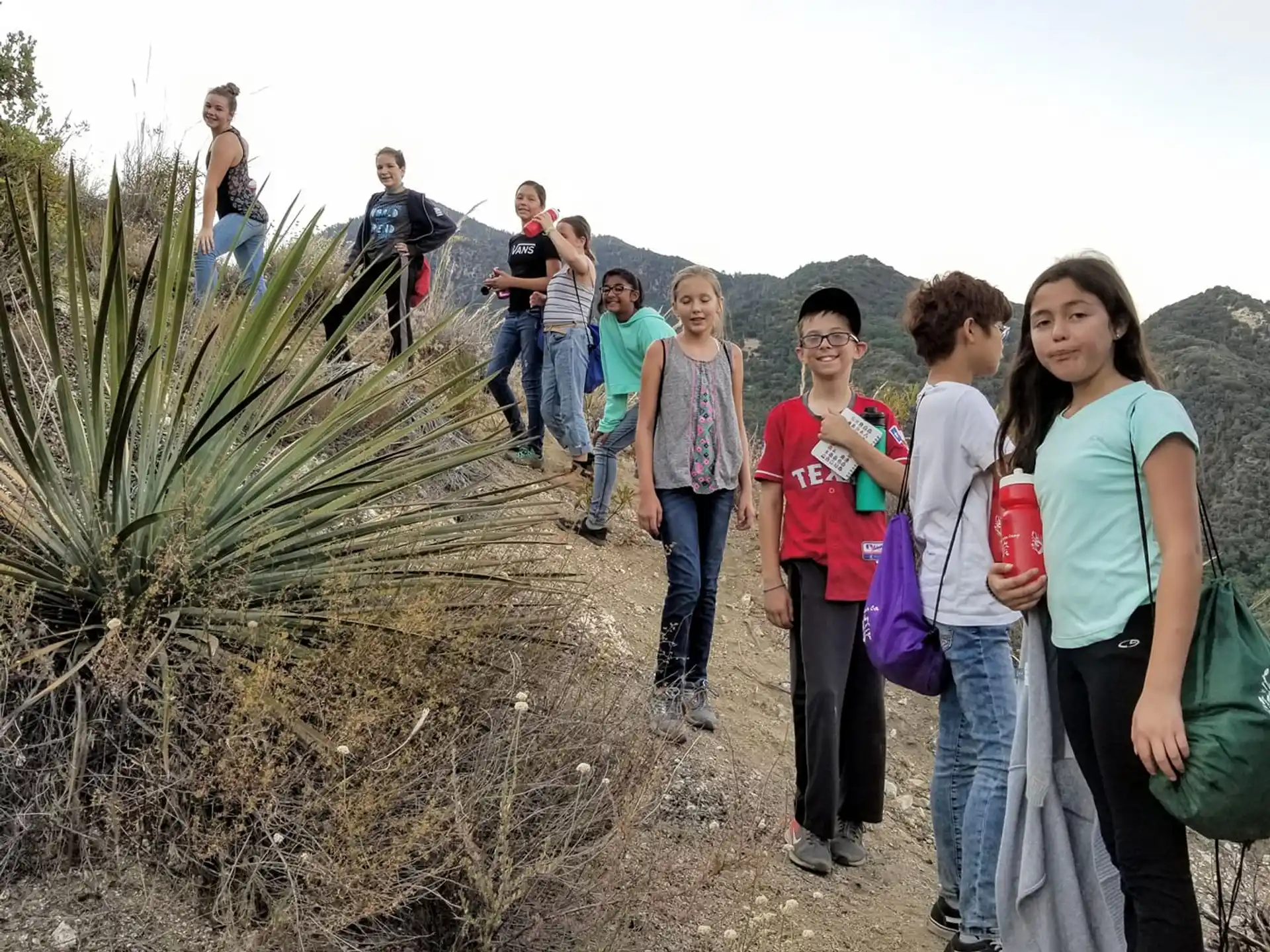 a group of people walking on a dirt path