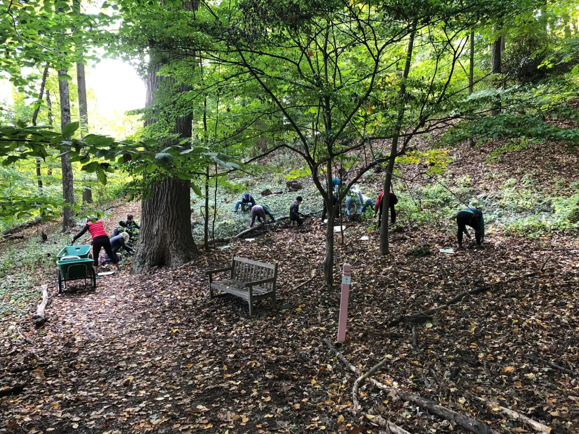 a group of people sitting in a park with trees and a dog