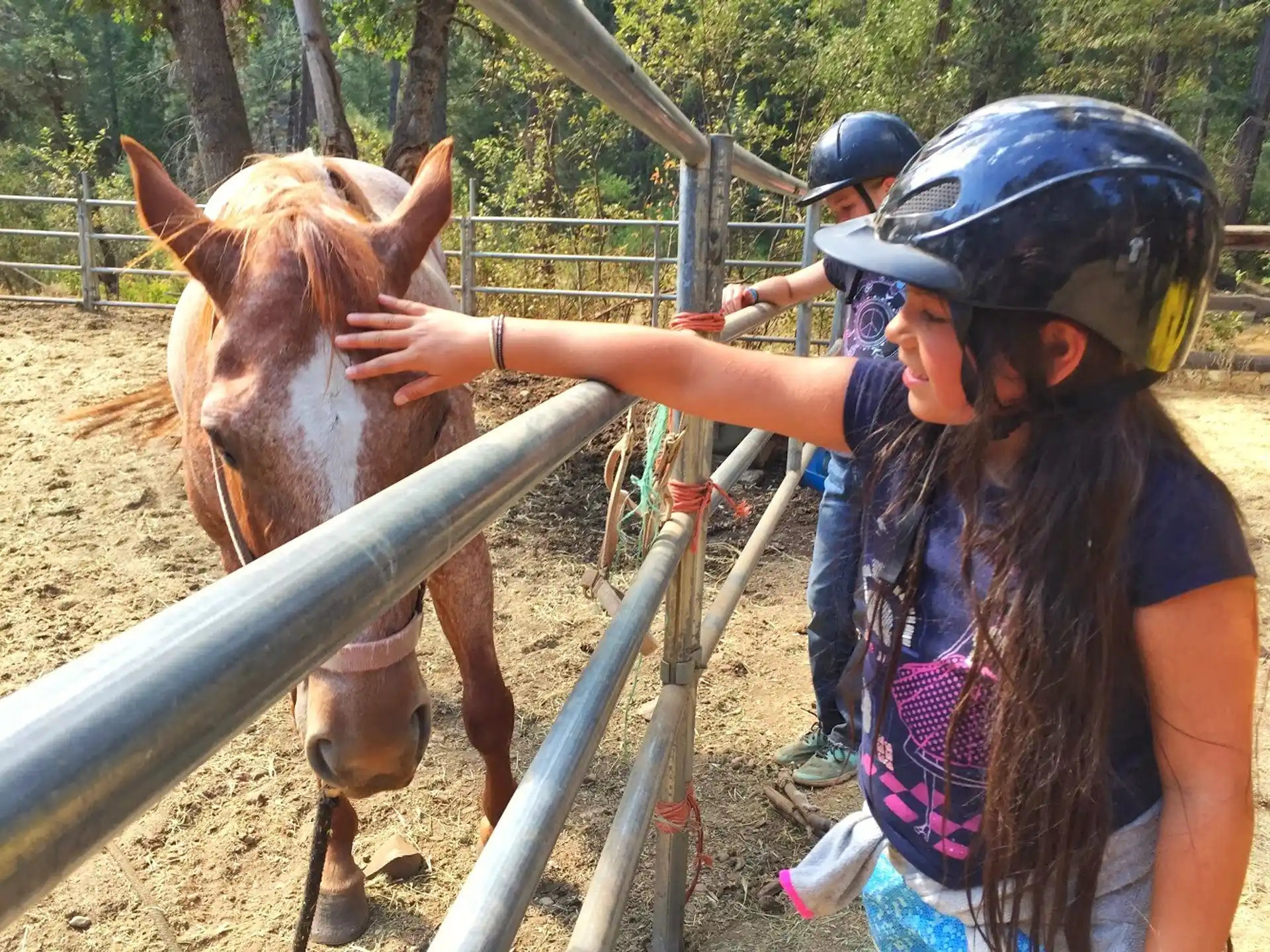 a couple of people petting a horse through a fence