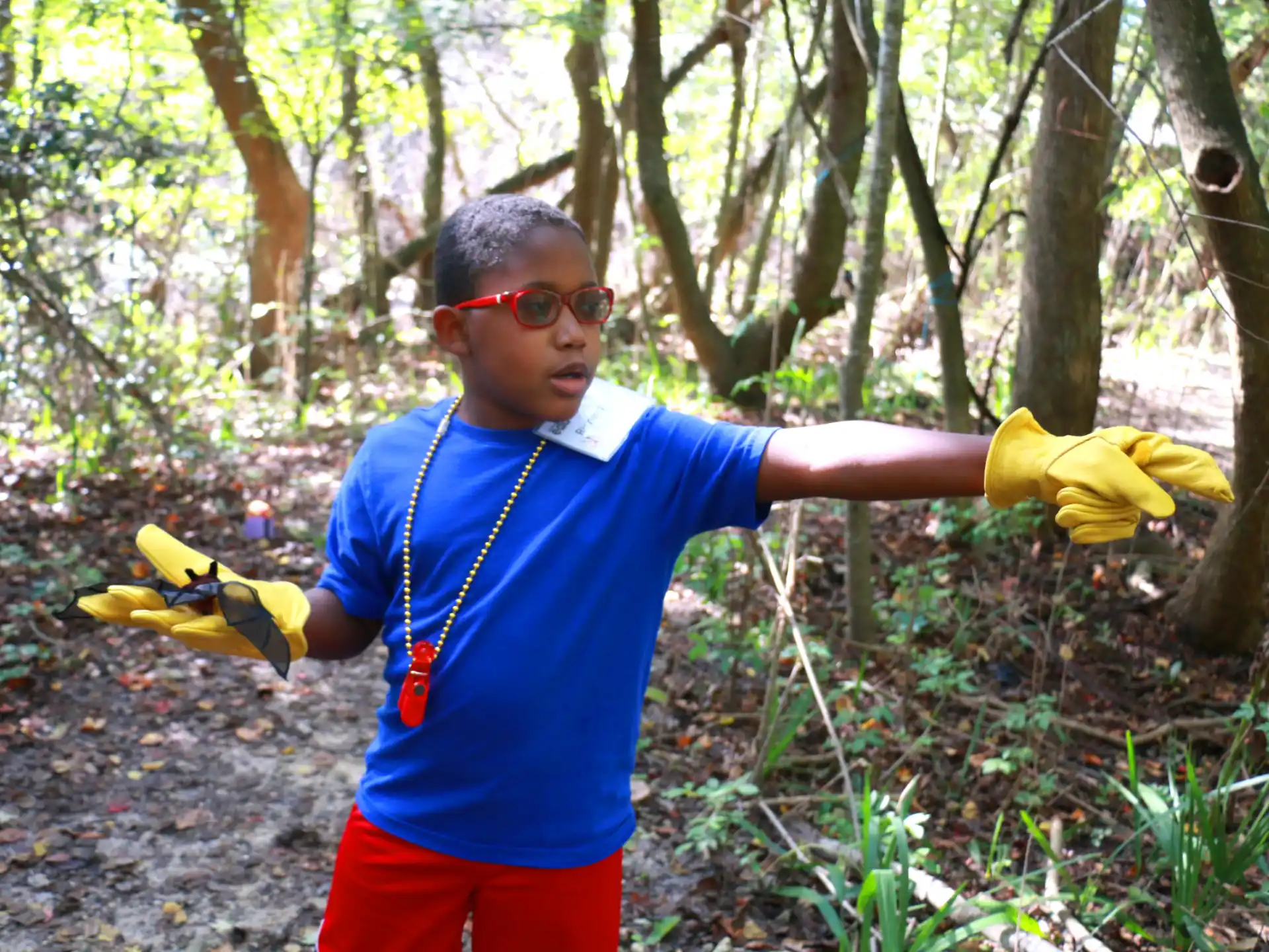 a person with the arms out in the woods
