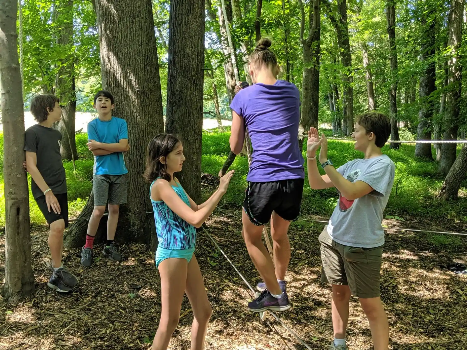 a group of people in the woods