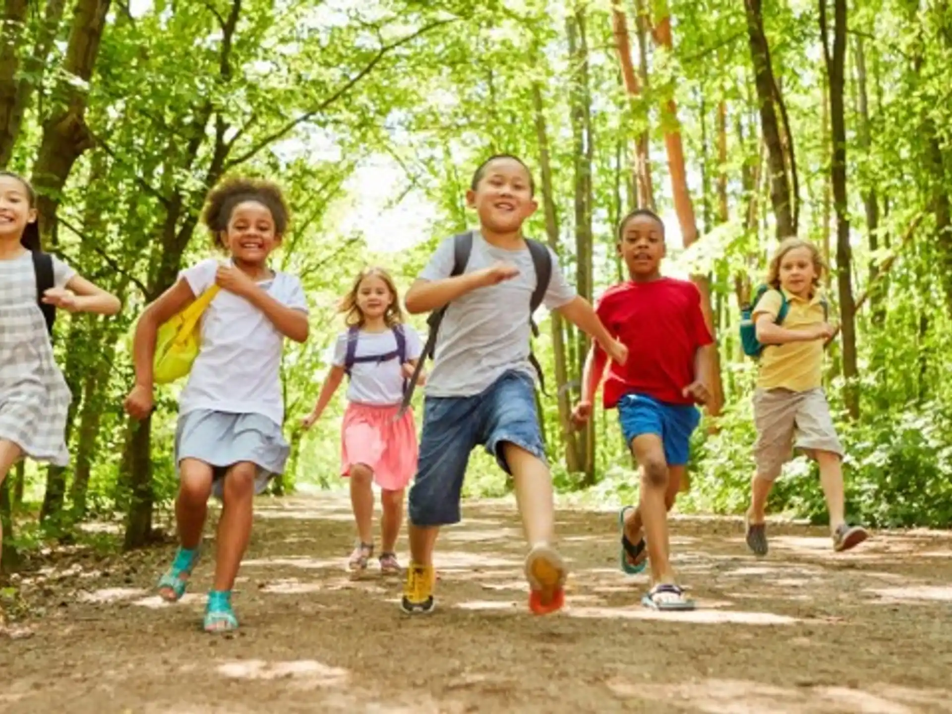 a group of people running on a path in the woods