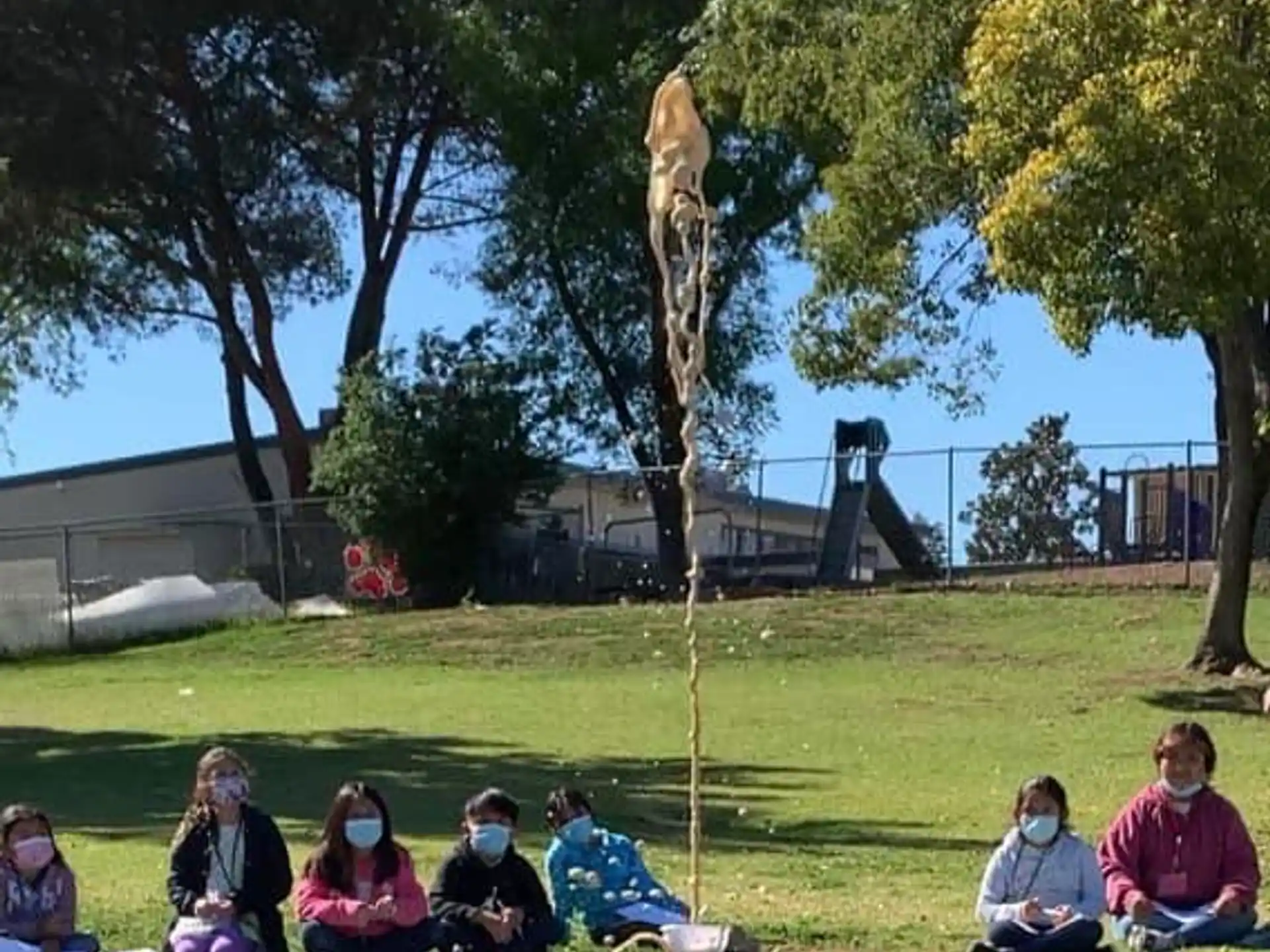 a group of people sitting on the grass