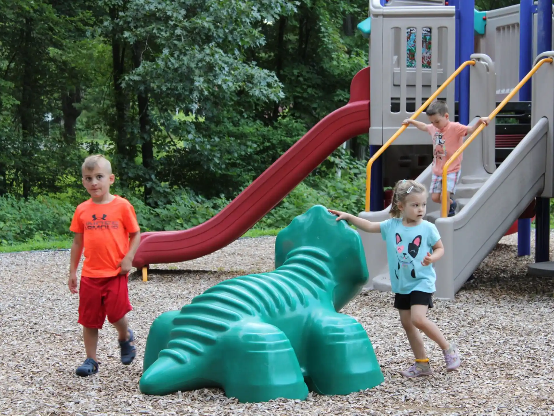 children playing on a playground