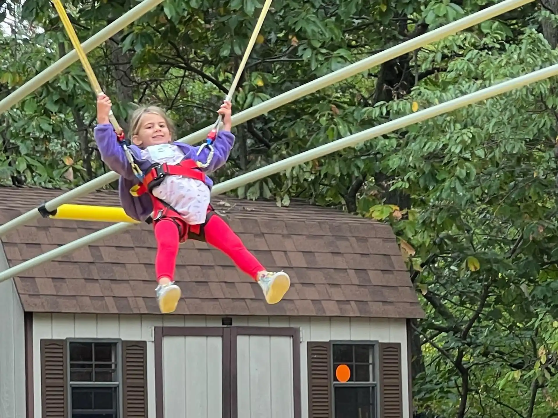a girl on a swing