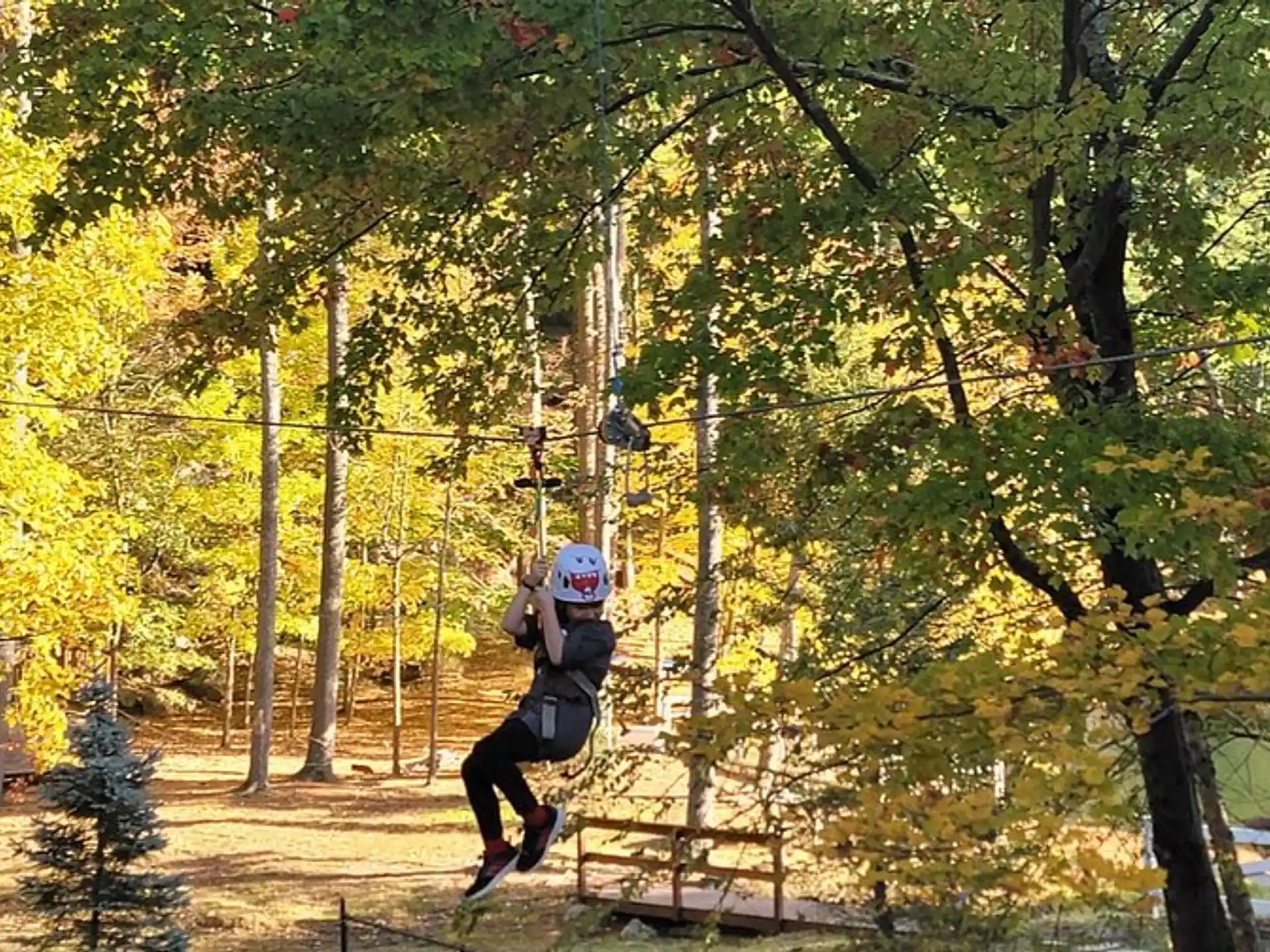 a person on a swing