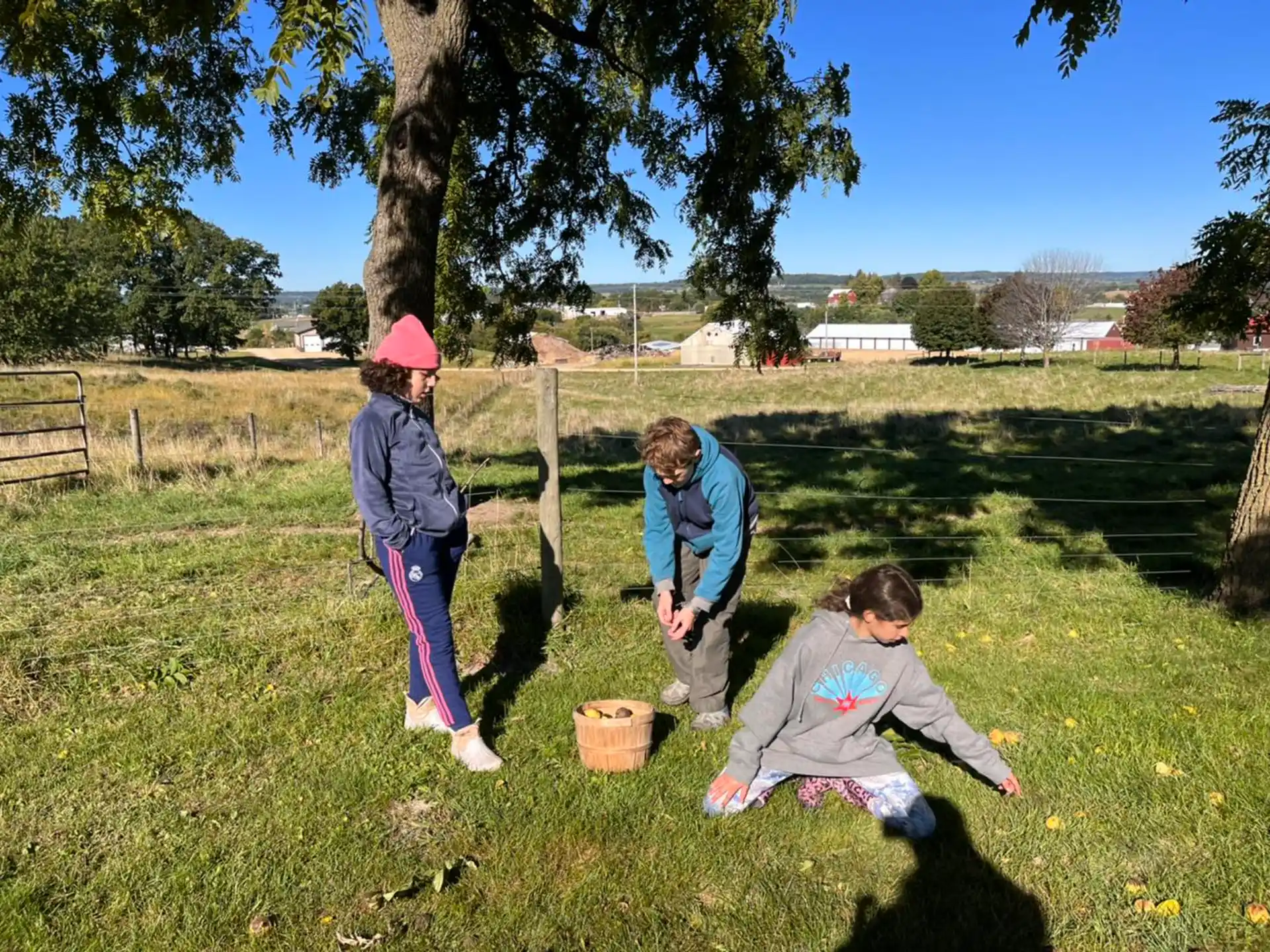 a group of children playing in a grassy field
