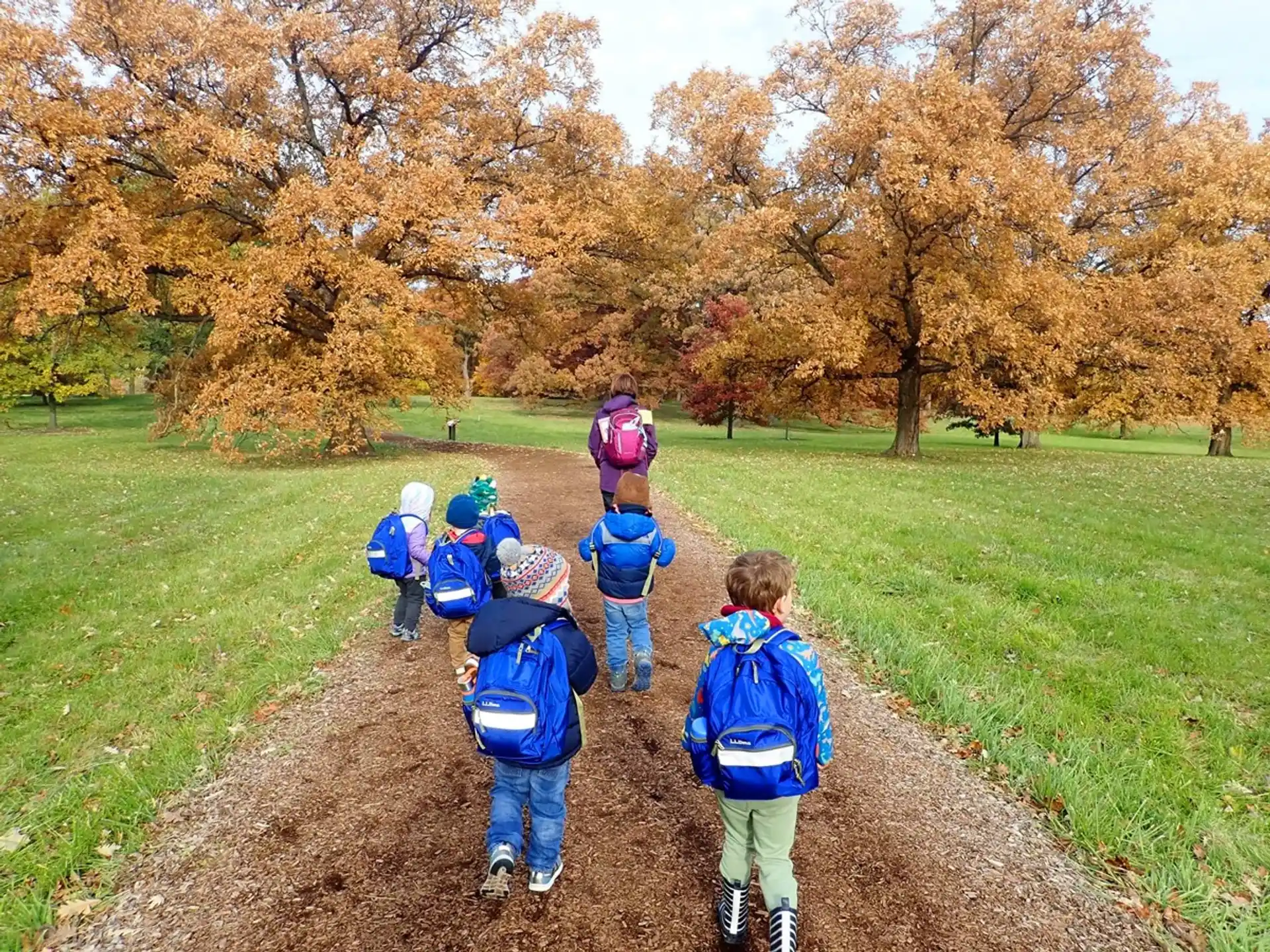 a group of children walking on a path in a park