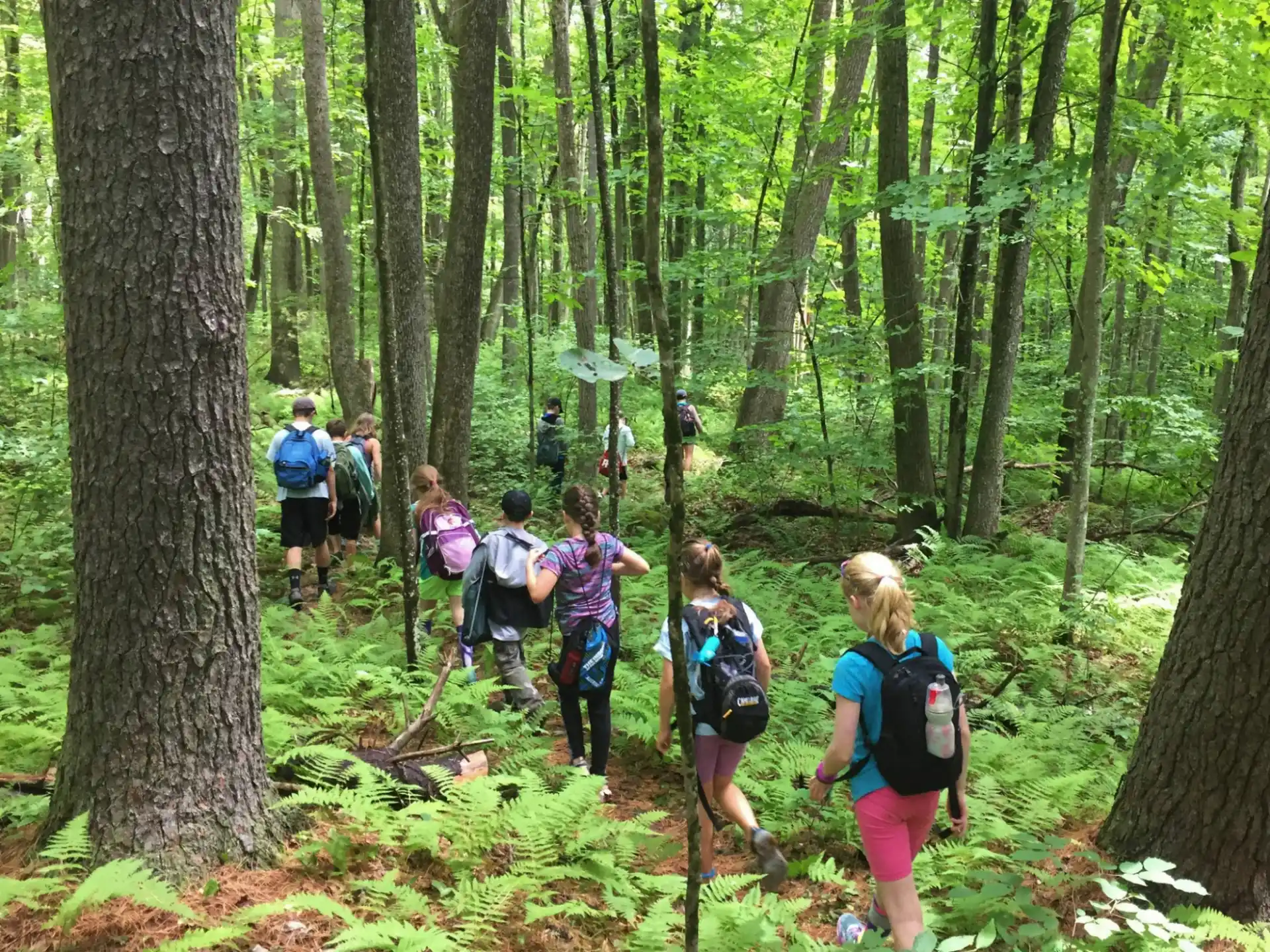a group of people hiking in the woods