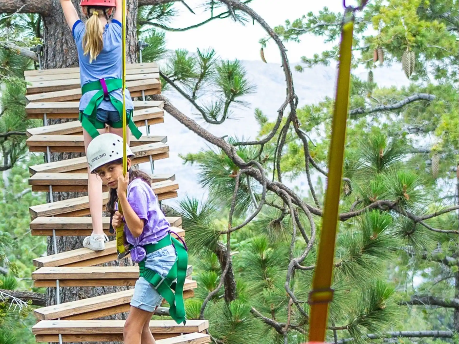 a group of people on a wooden structure