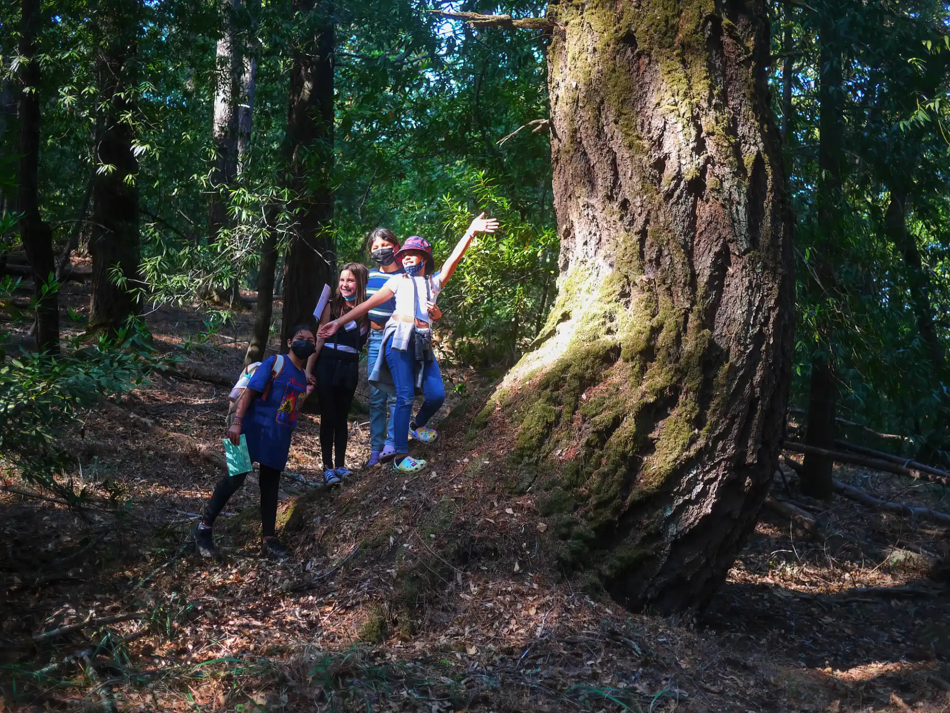 a group of people posing by a tree