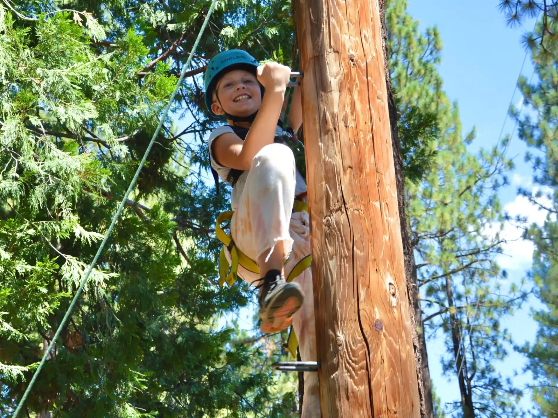 a boy climbing a tree