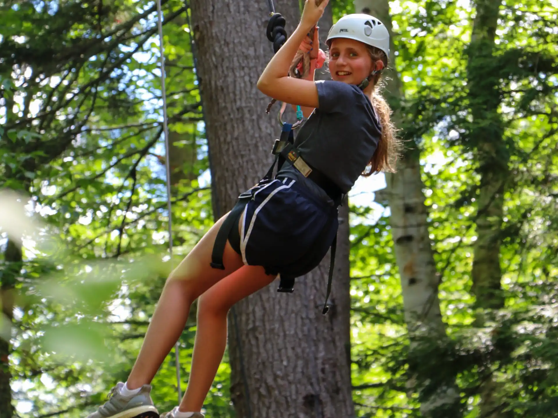 a person climbing a tree