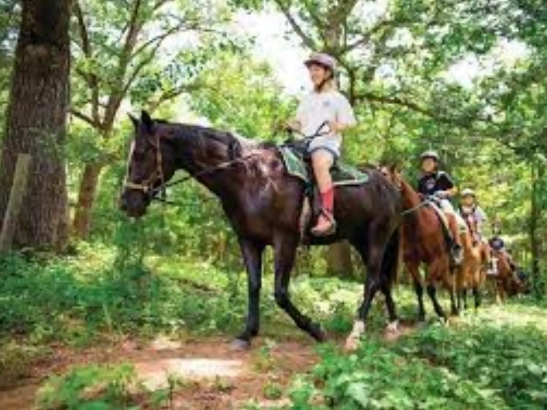 a group of people riding horses