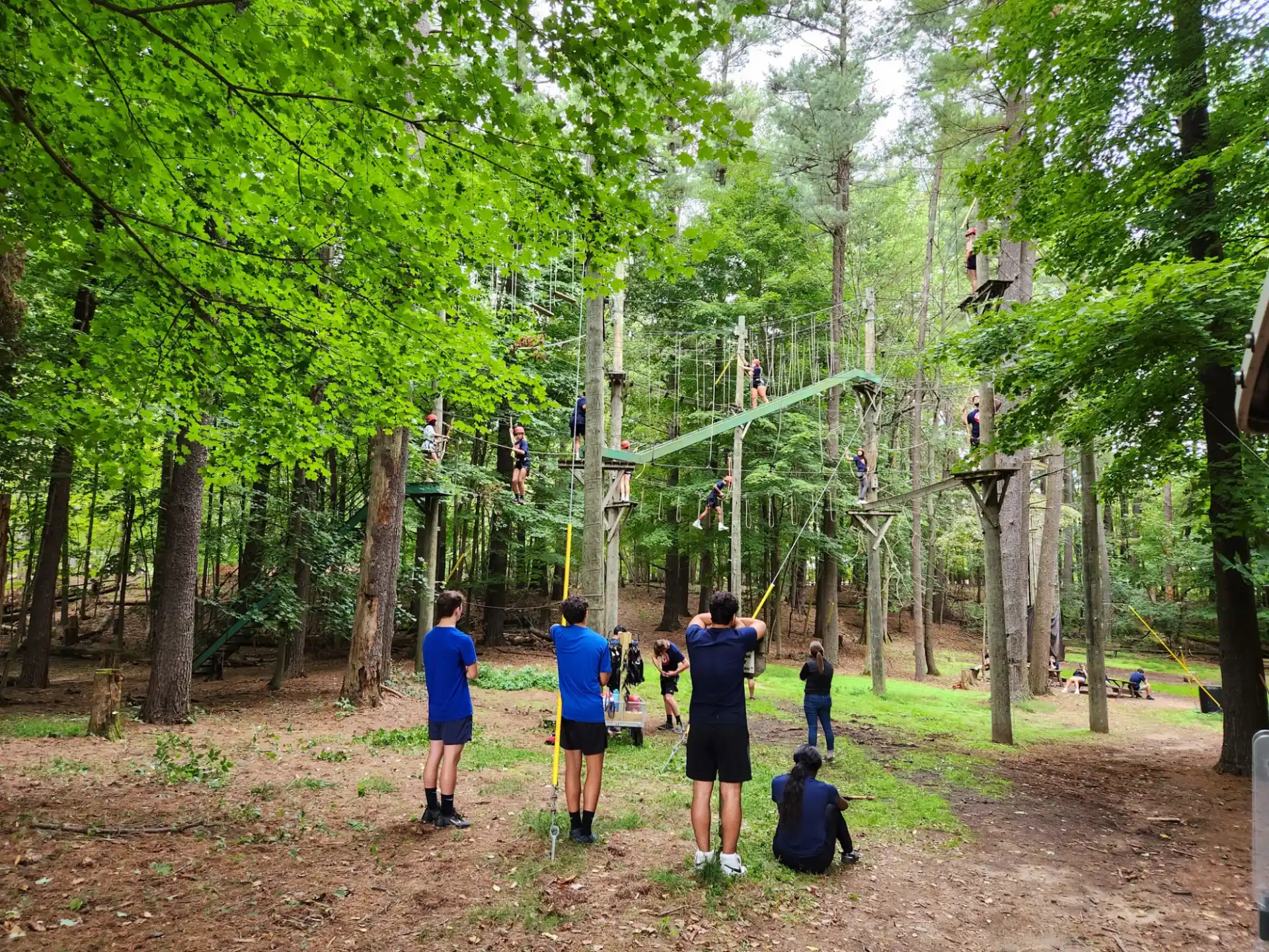a group of people walking through a forest