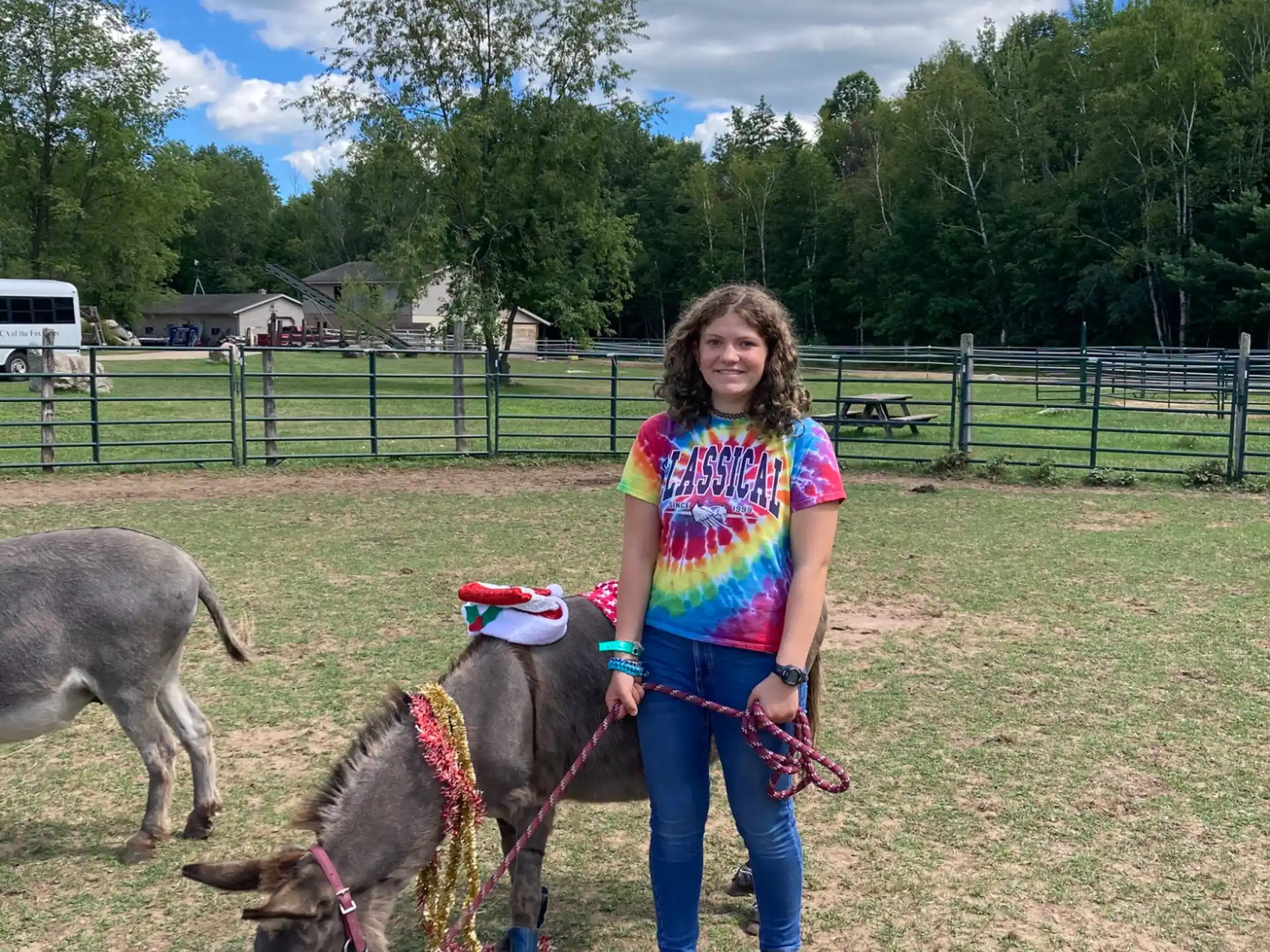 a girl standing next to two donkeys