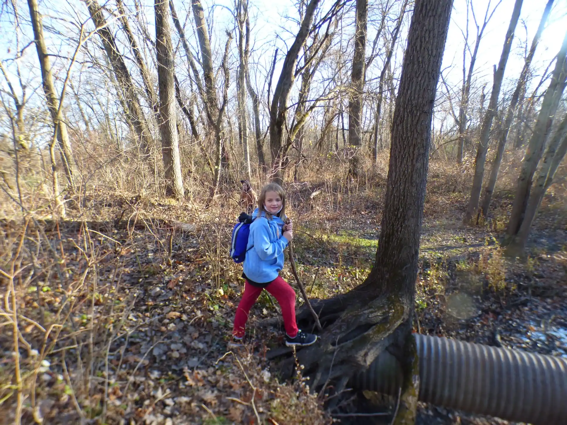 a girl standing on a log in the woods