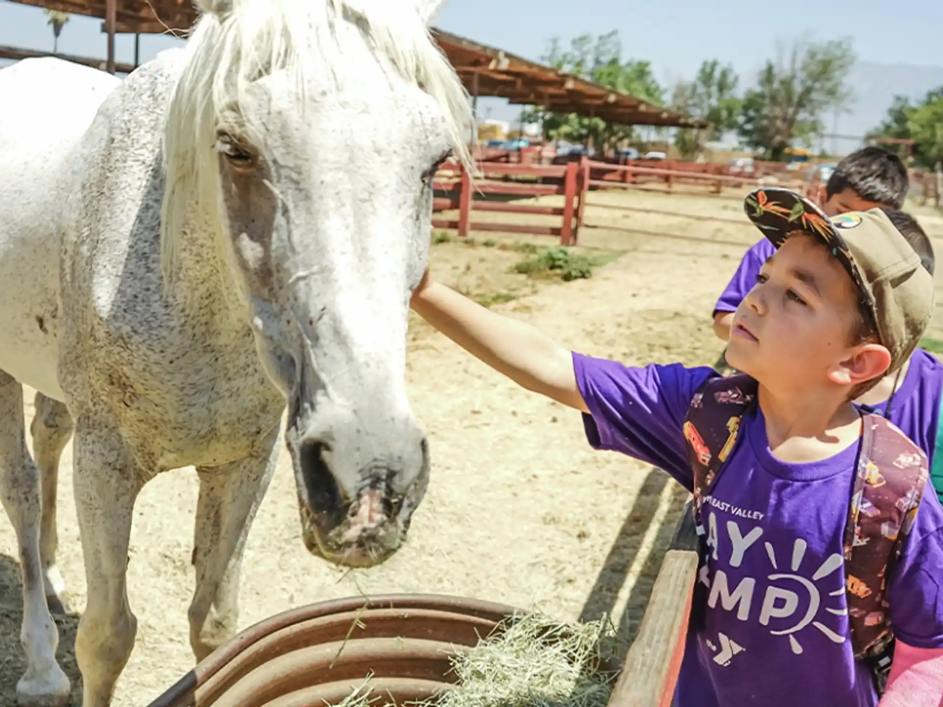 a girl petting a horse
