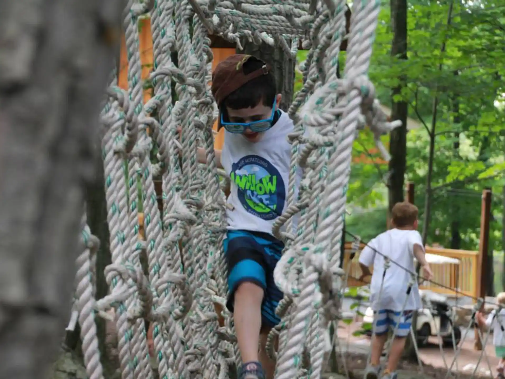 a boy climbing a tree