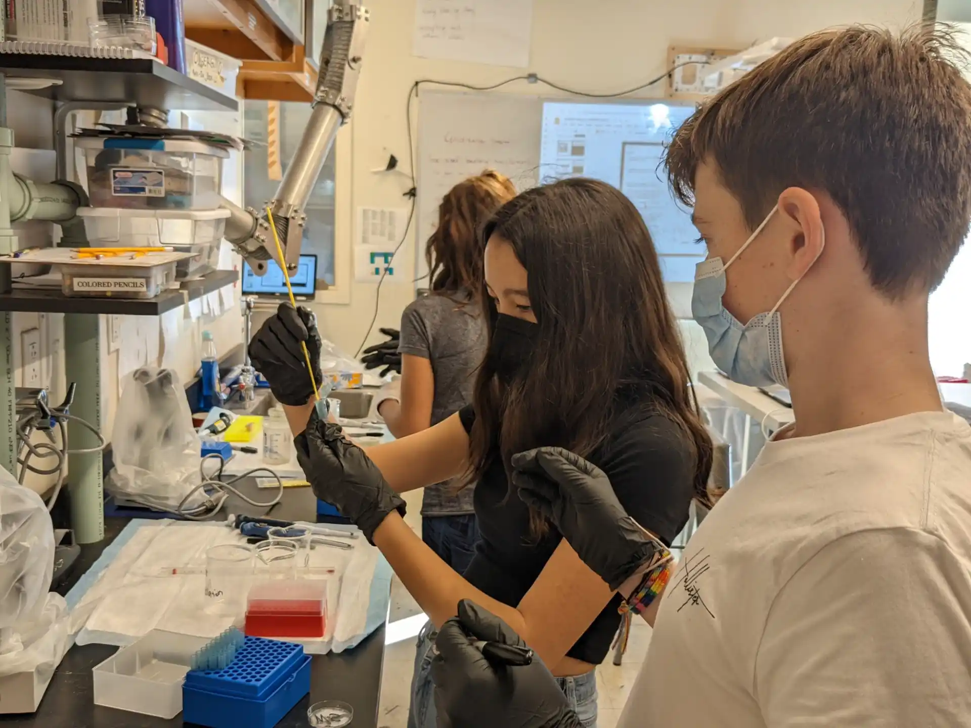 a man and a woman in a lab
