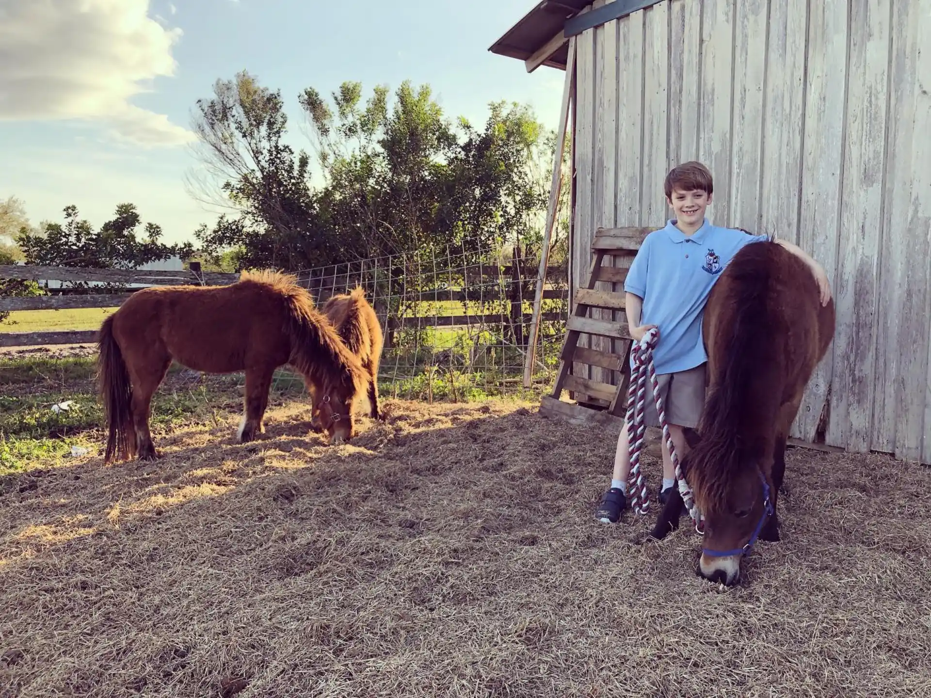 a boy standing next to two horses