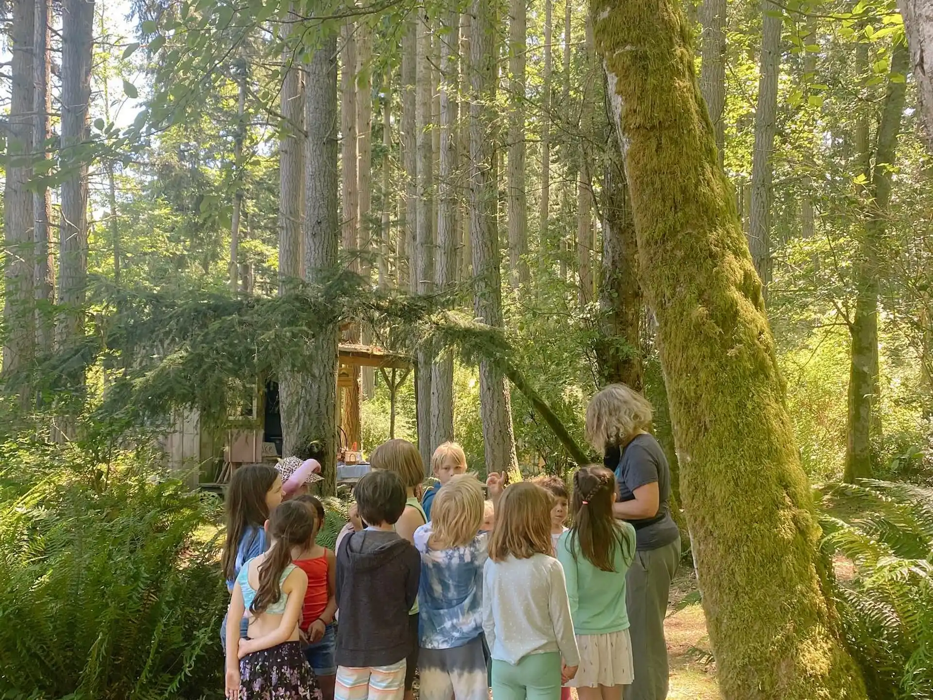 a group of children standing in a forest