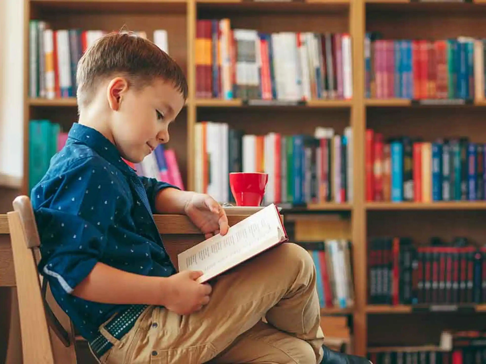 a boy reading a book