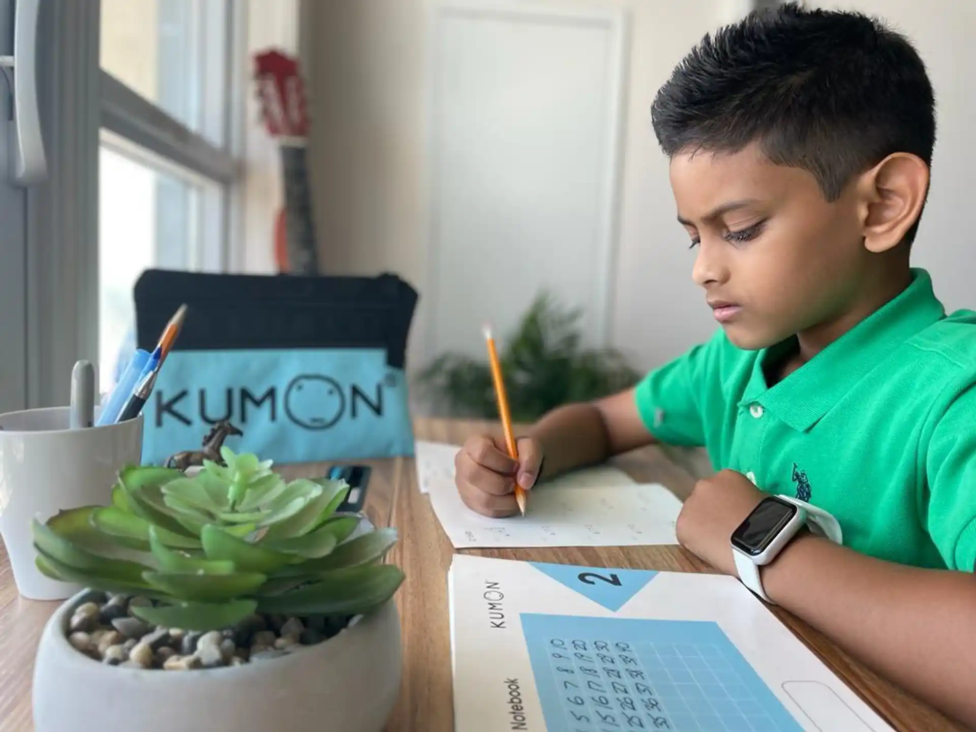 a young boy painting a plant