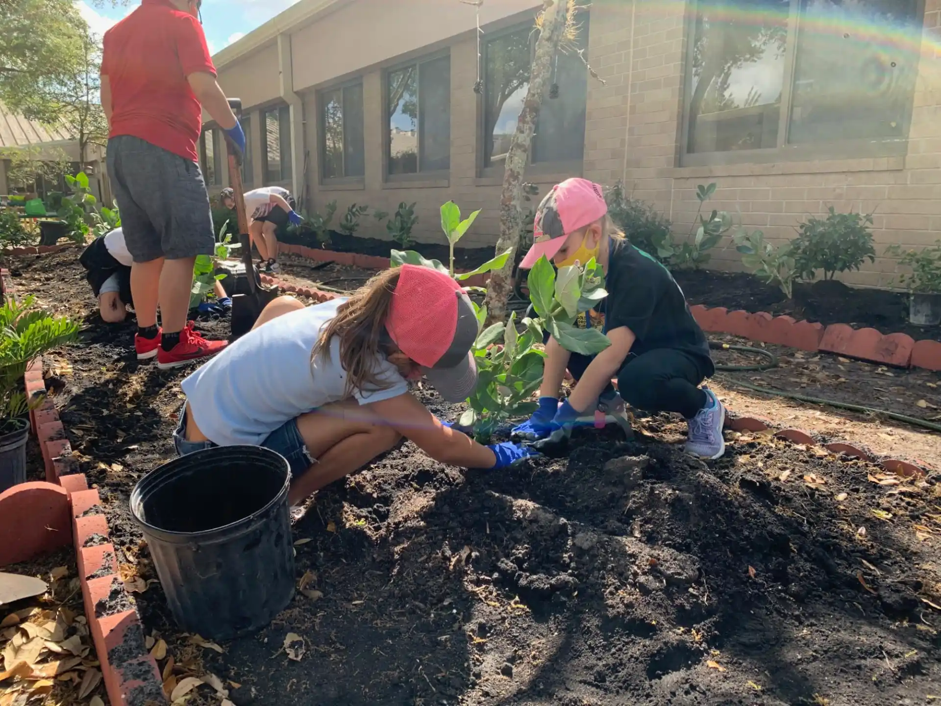 a group of people planting a tree