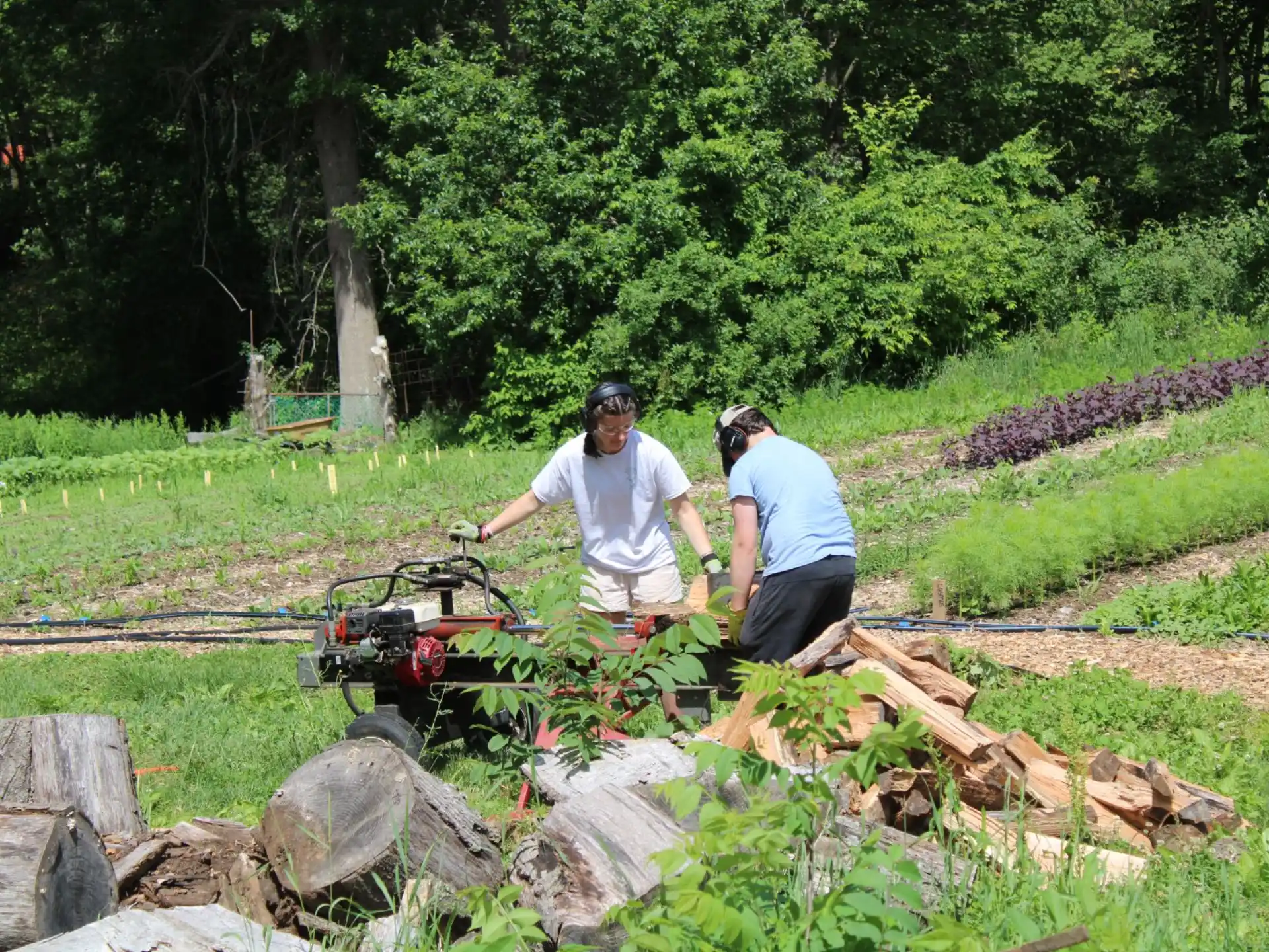 a couple of men working on railroad tracks