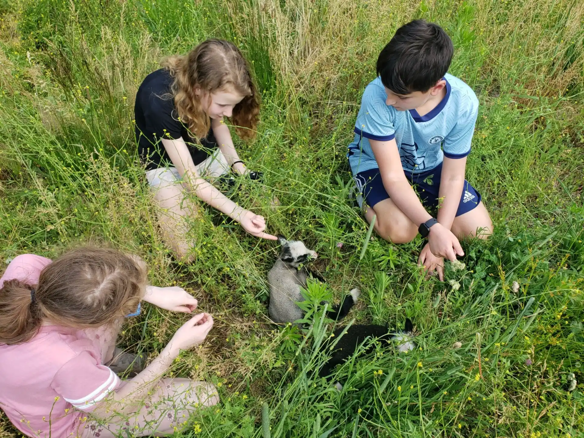 a group of people planting plants