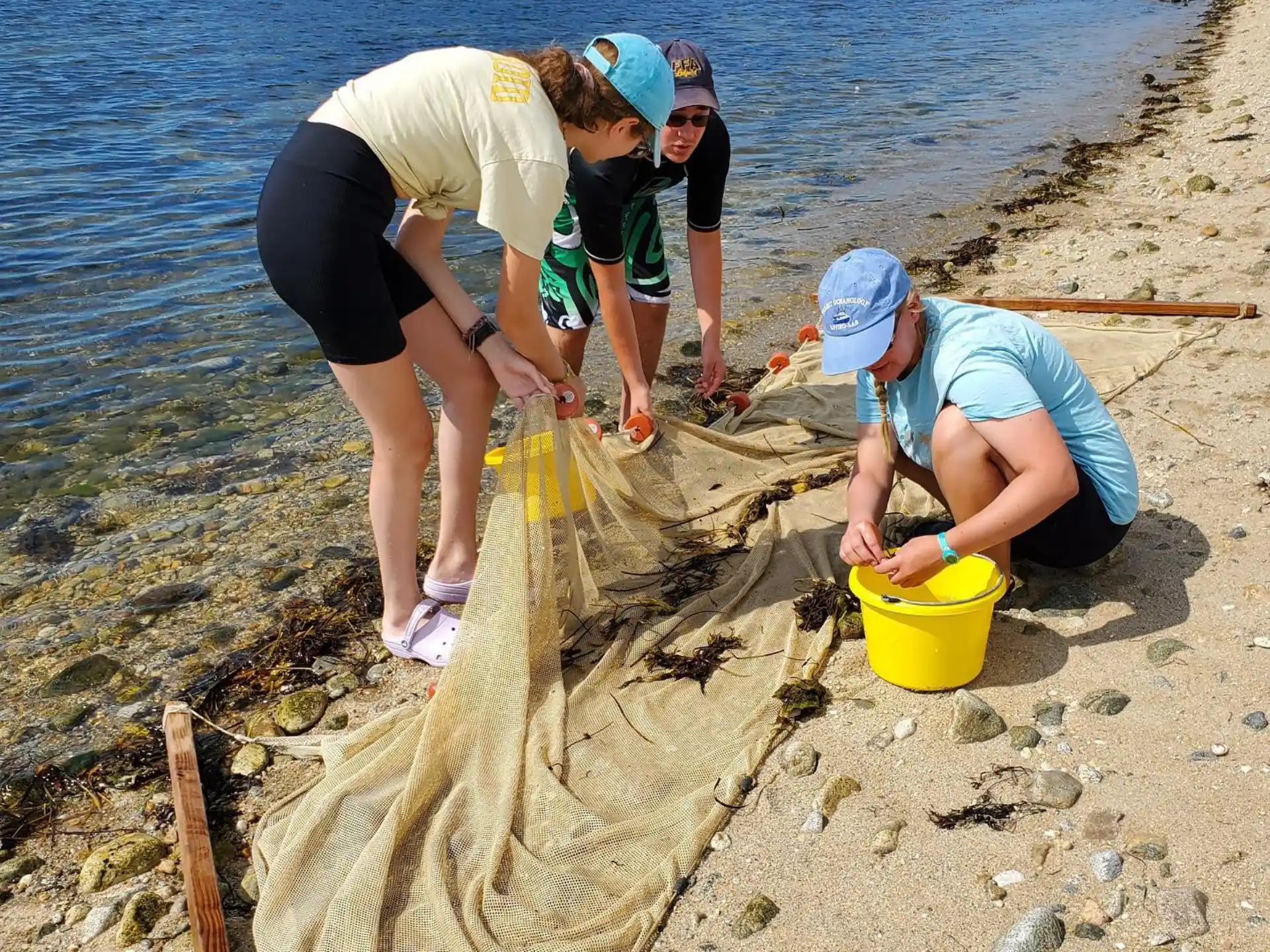 a group of people digging in the sand