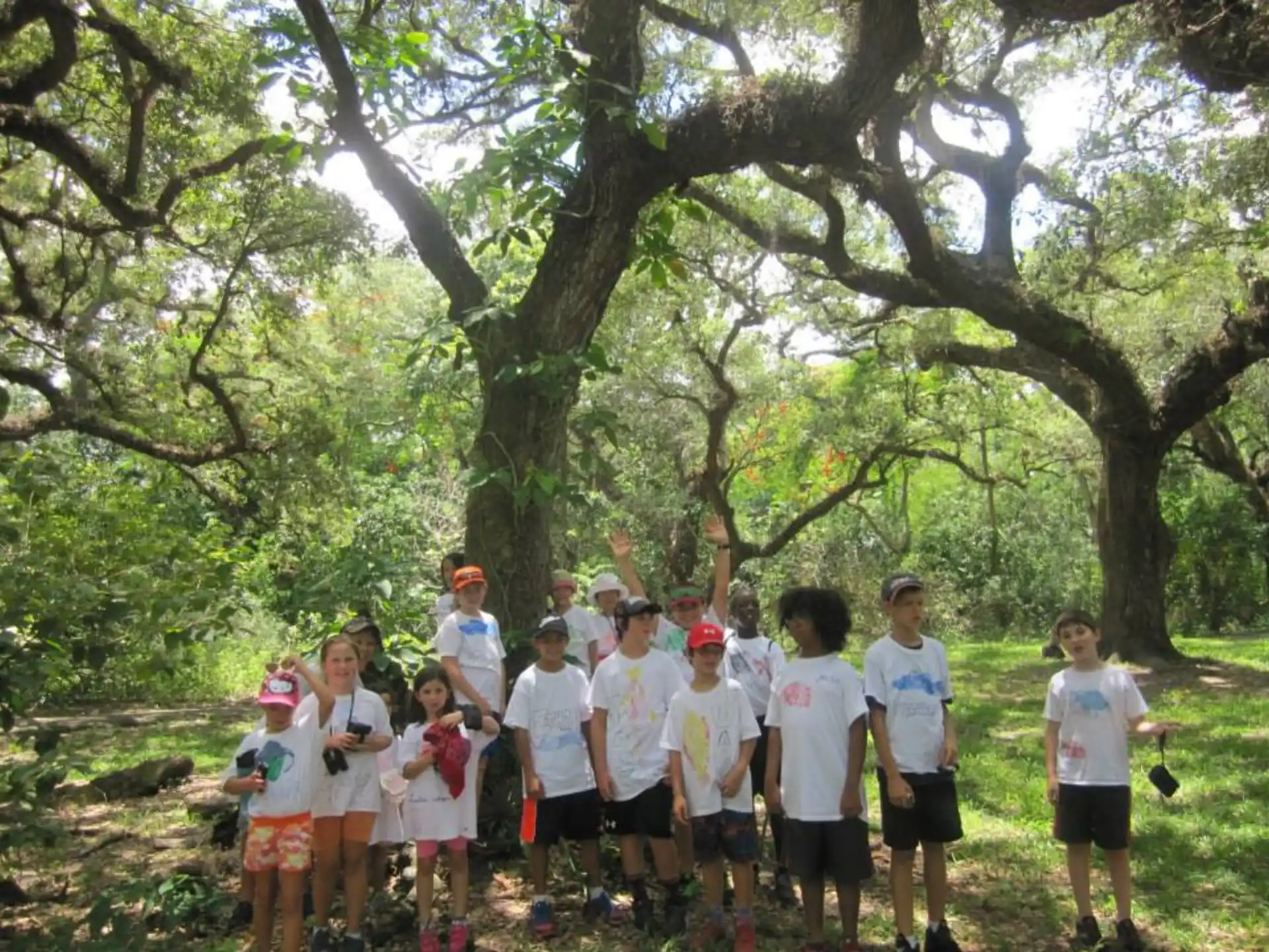 a group of people posing for a photo under a tree