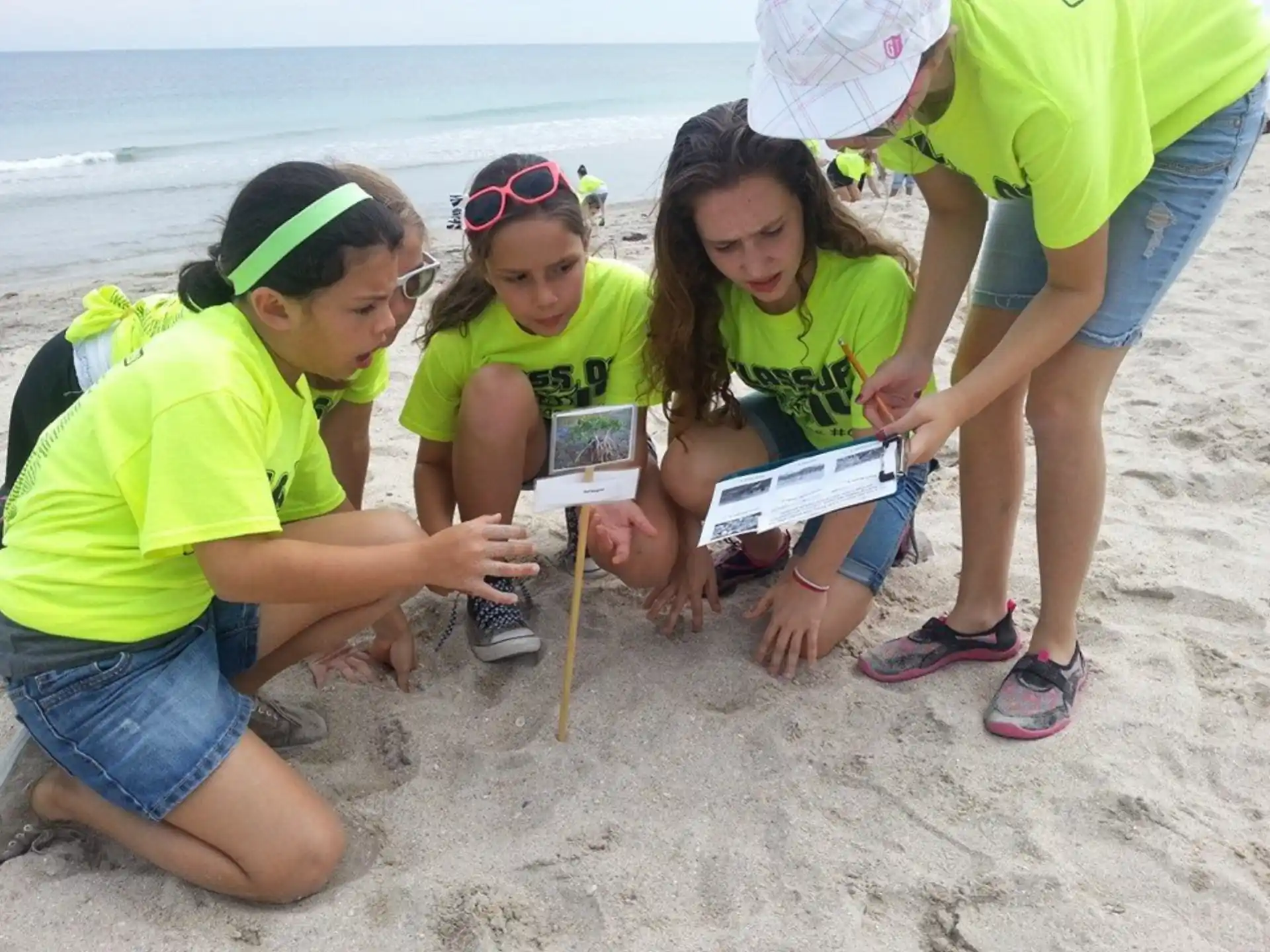 a group of people reading a book on a beach