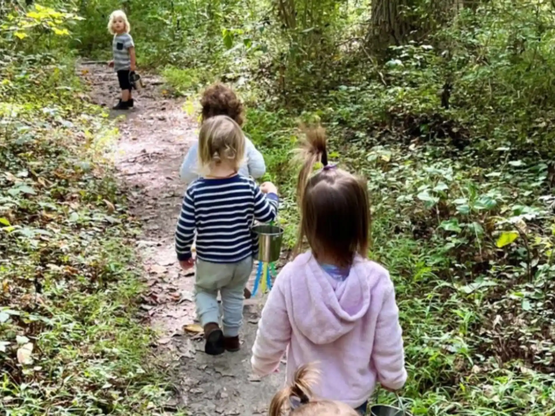 a group of children walking on a path in the woods