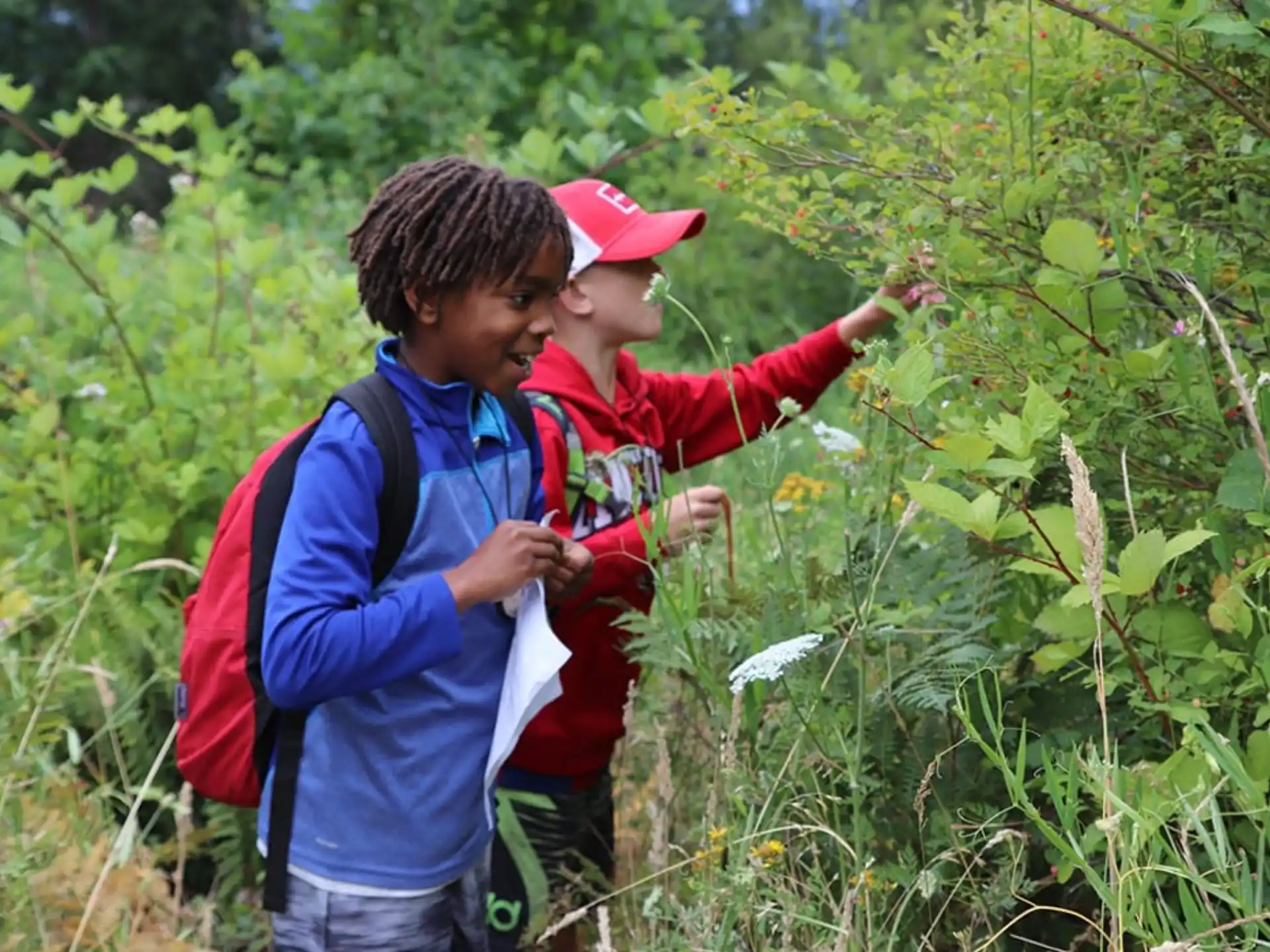 a couple of boys looking at a leaf
