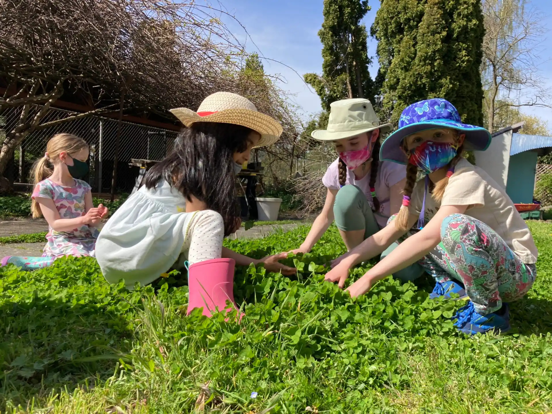 a group of children planting plants