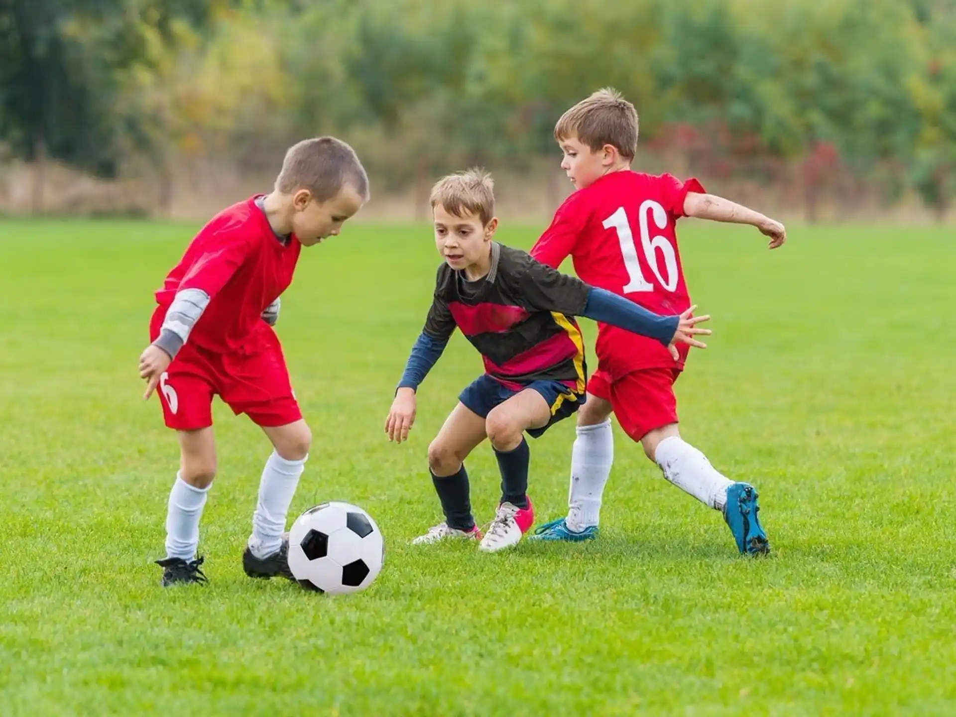 a group of kids playing football