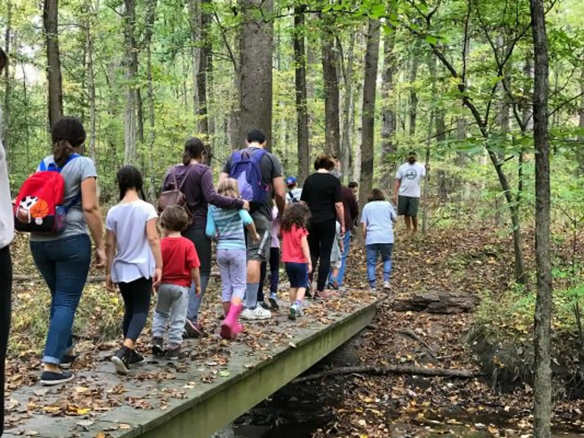 a group of people walking on a path in the woods