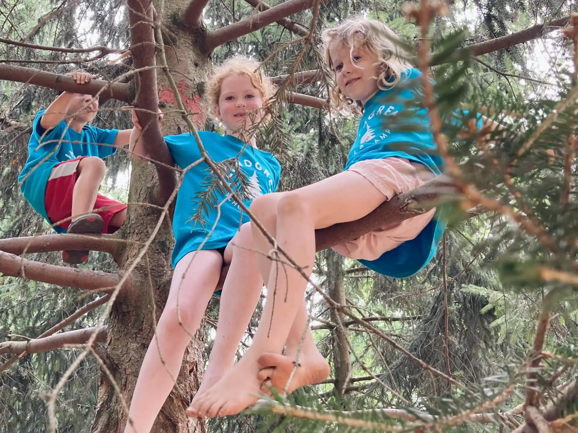 a group of children in a tree