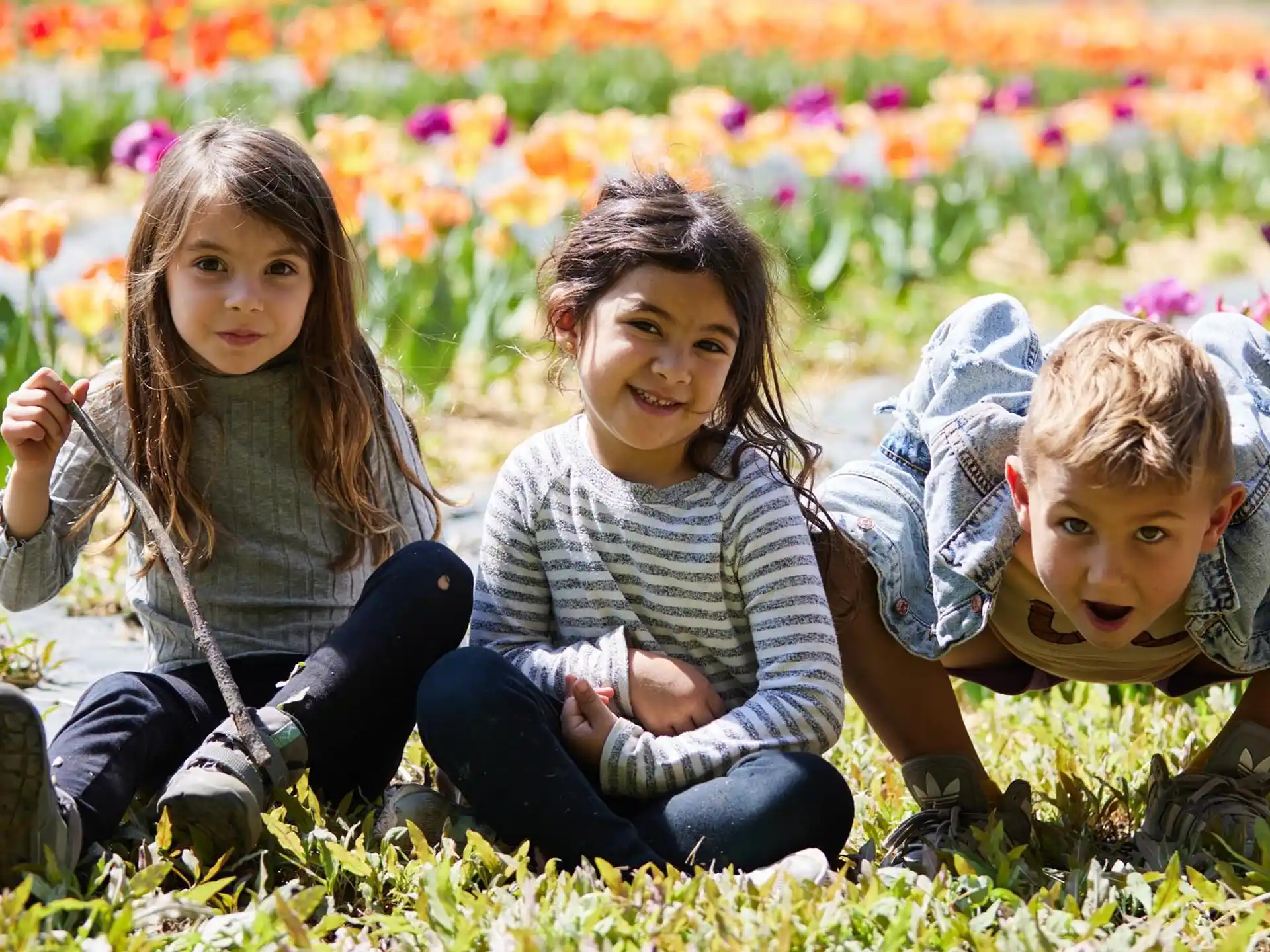 a group of children sitting in a field of flowers