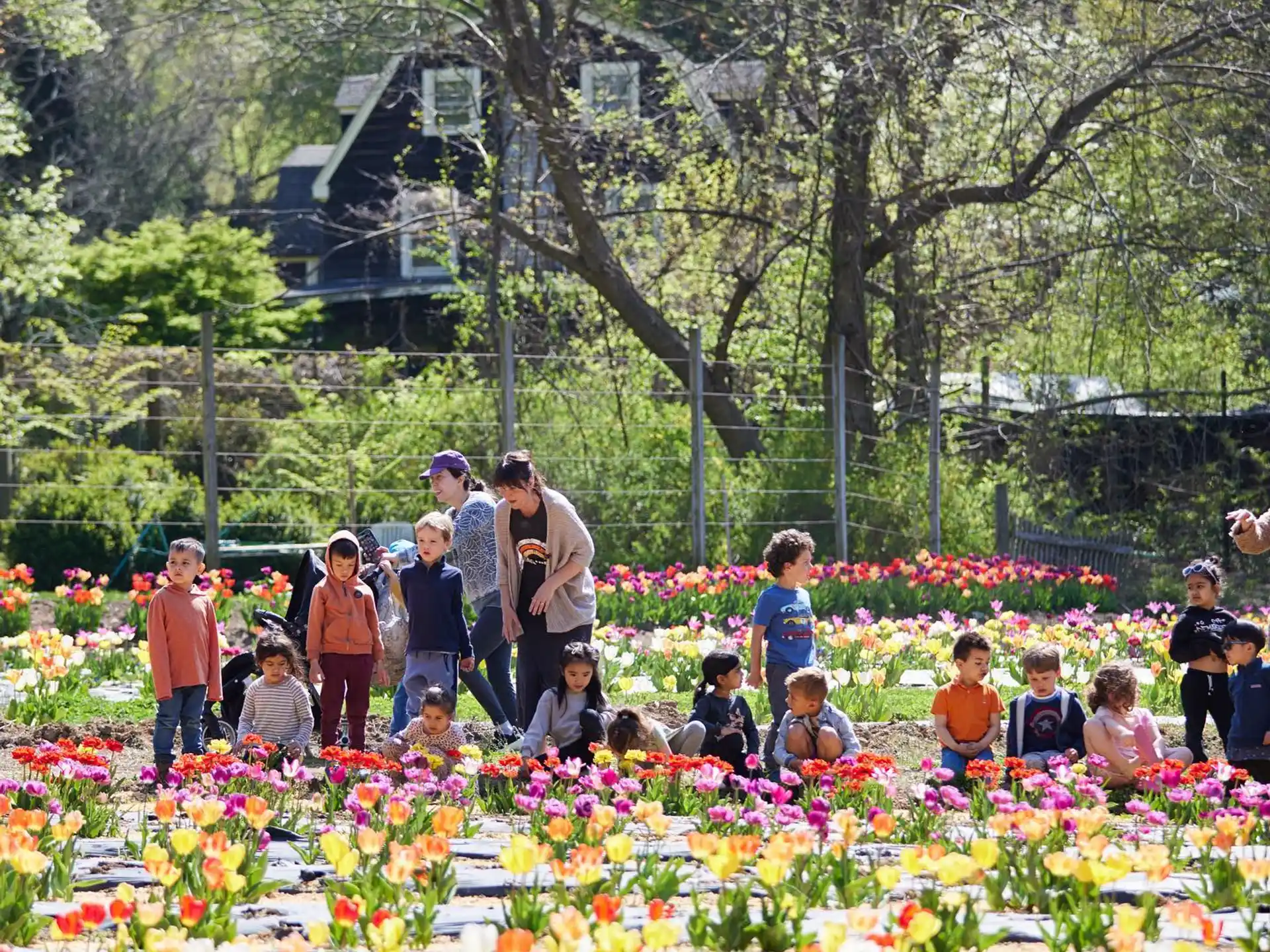 a group of people posing for a photo in a garden