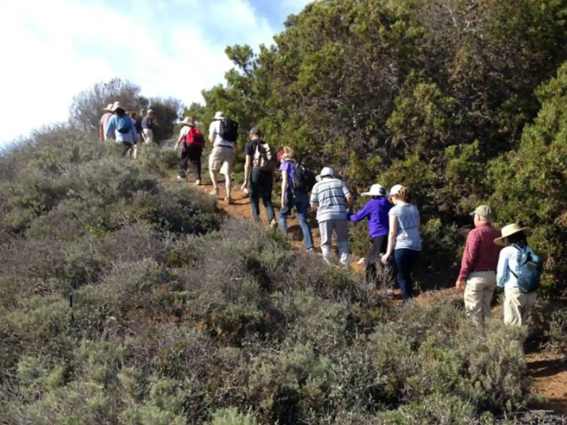 a group of people hiking
